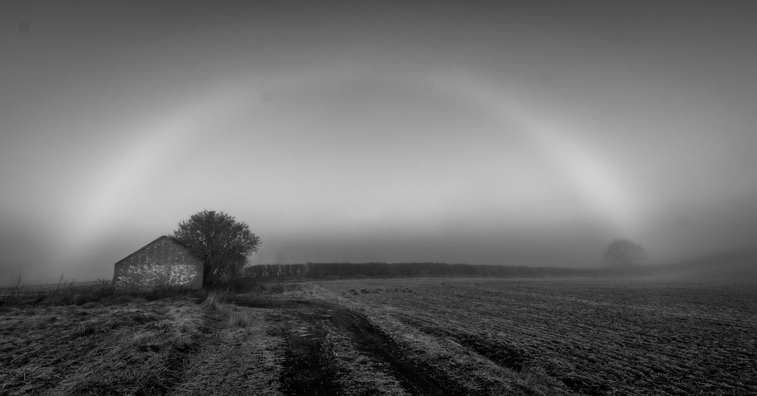 Fog Bow