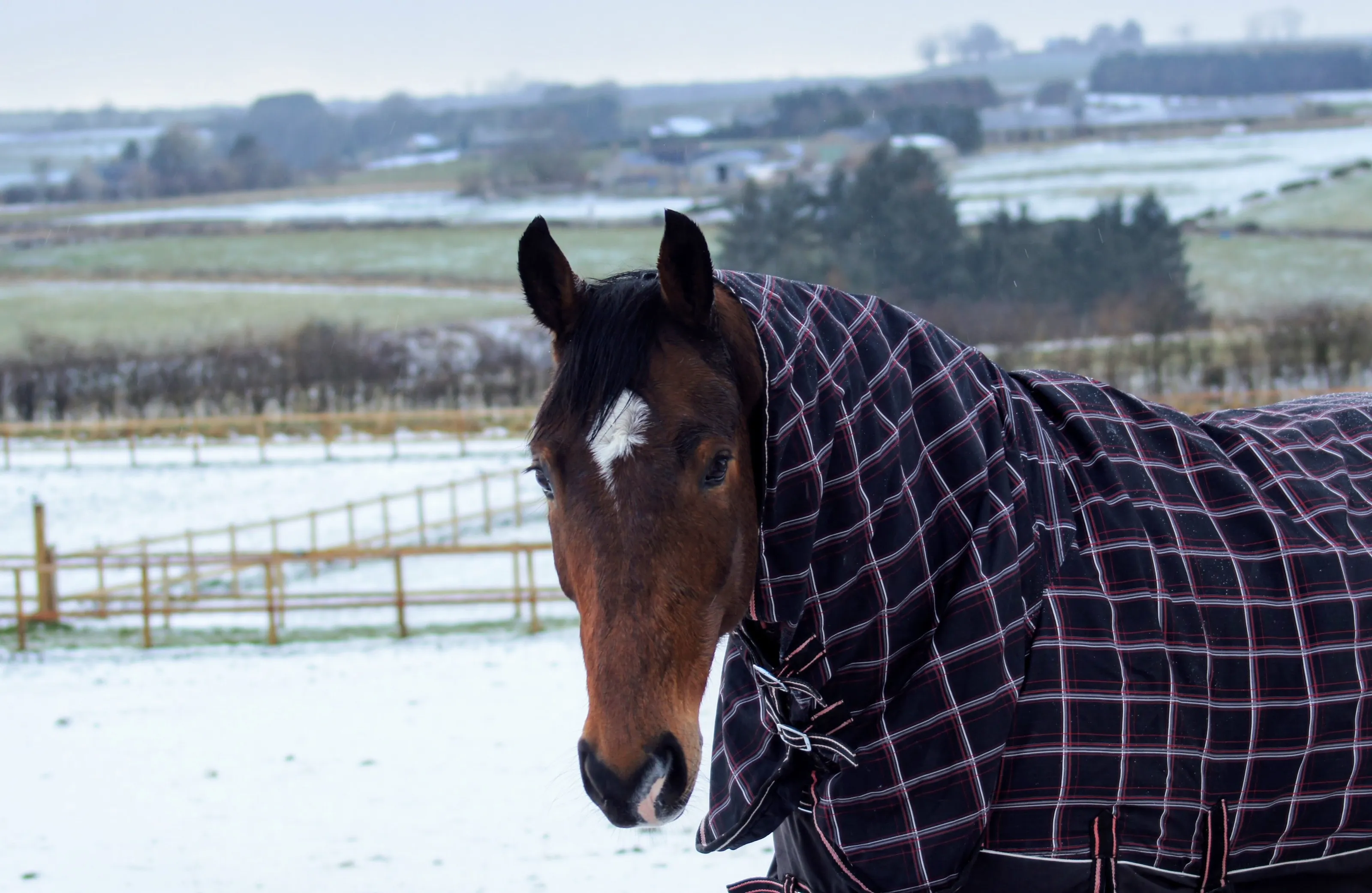 Winterwonderland