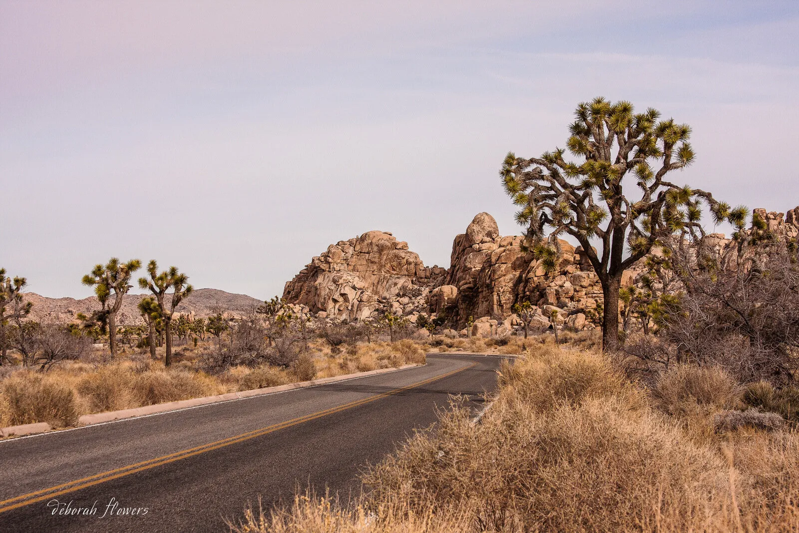 Road Trip