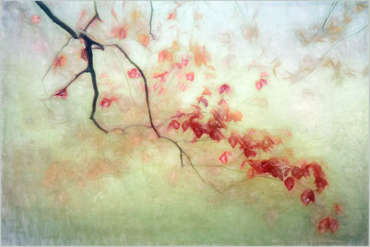 Entry 9762916