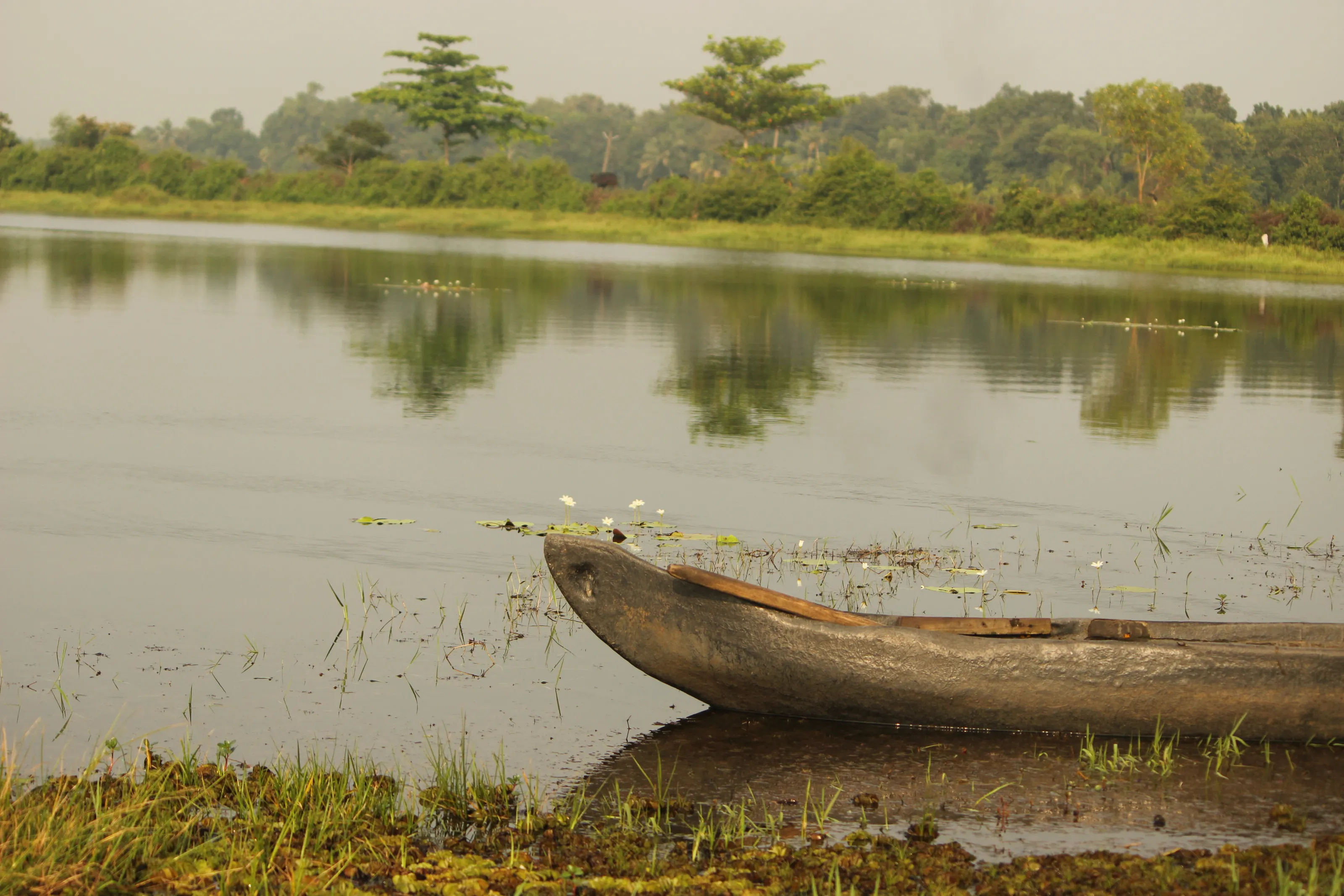 canoe