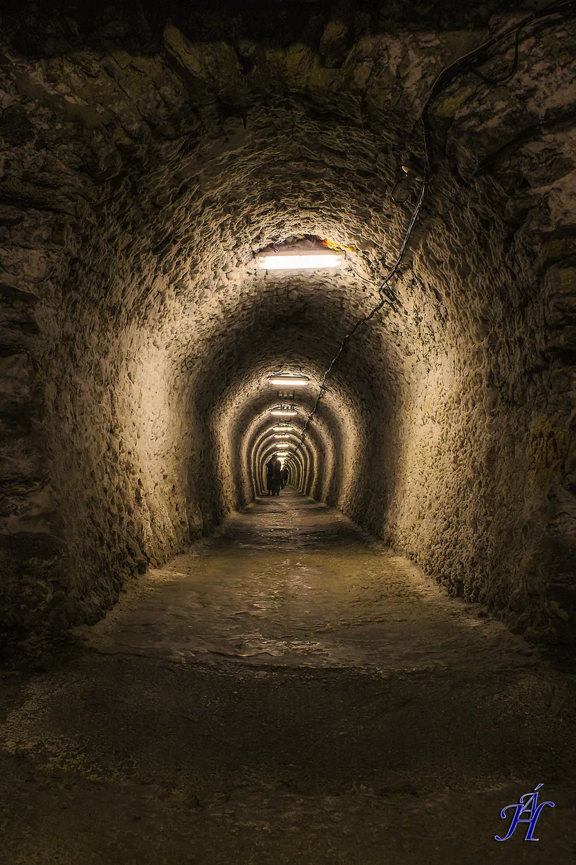 Entry 15980830