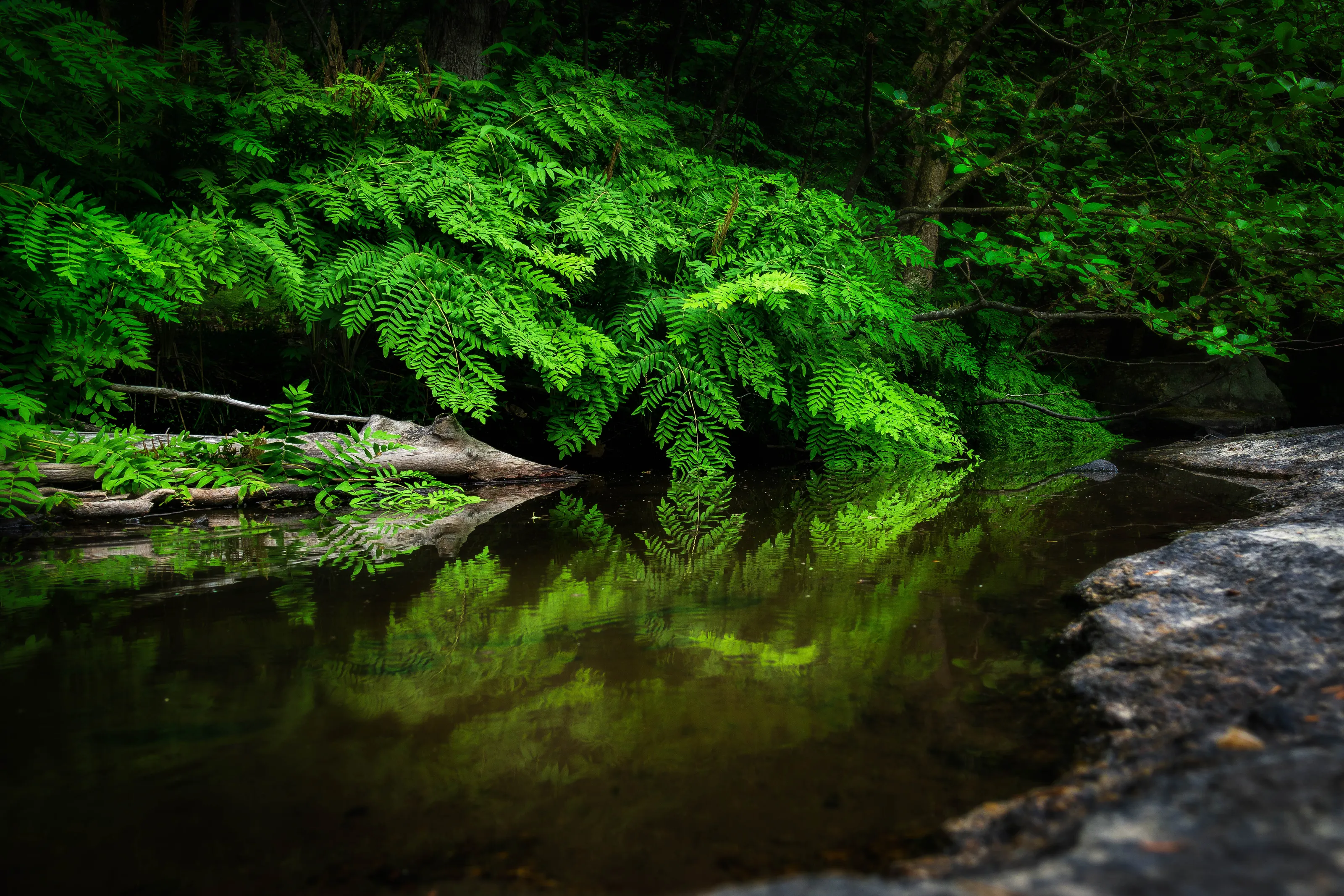 Peaceful