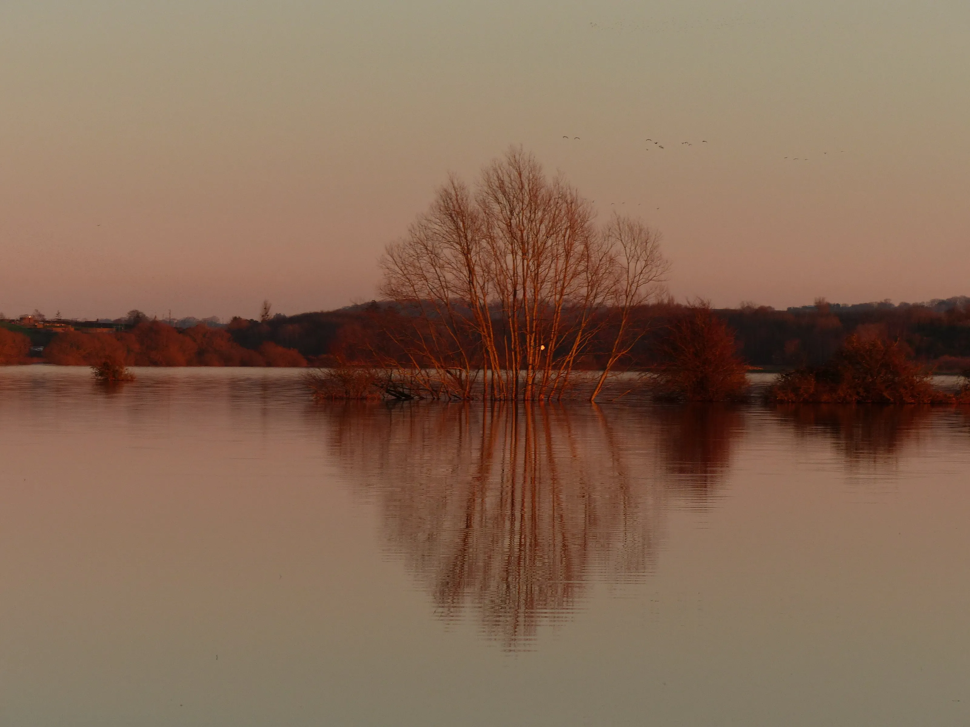 flood on the levels