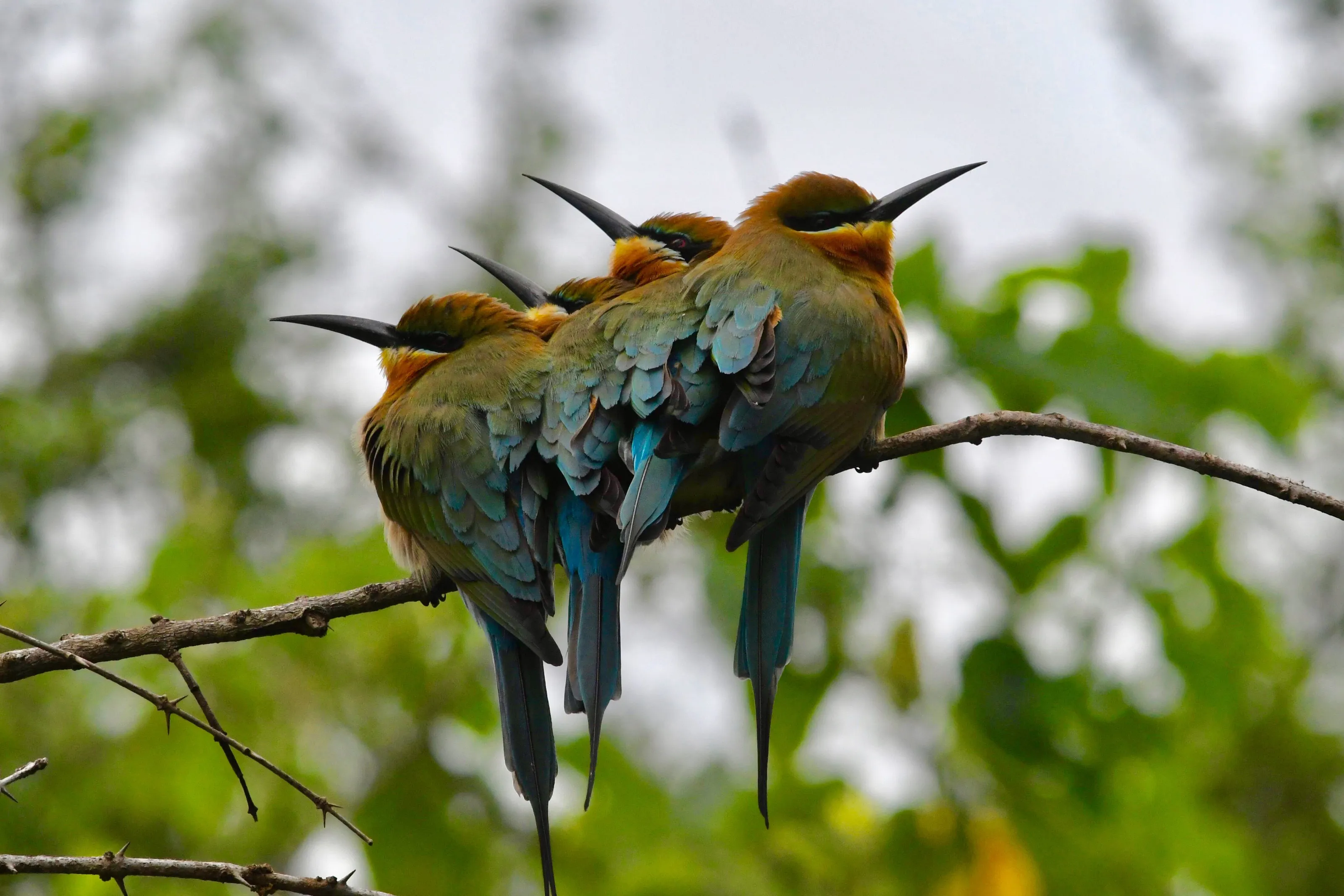 Group warmth.