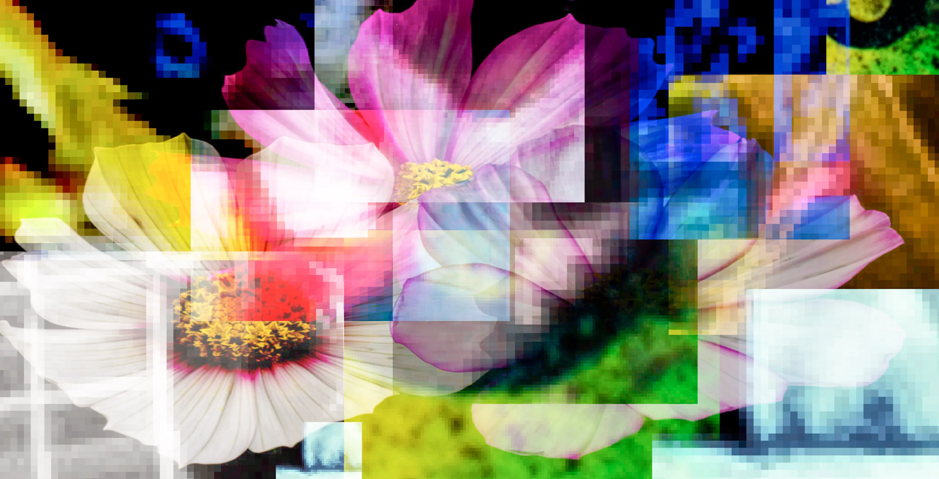 Cosmos Abstract