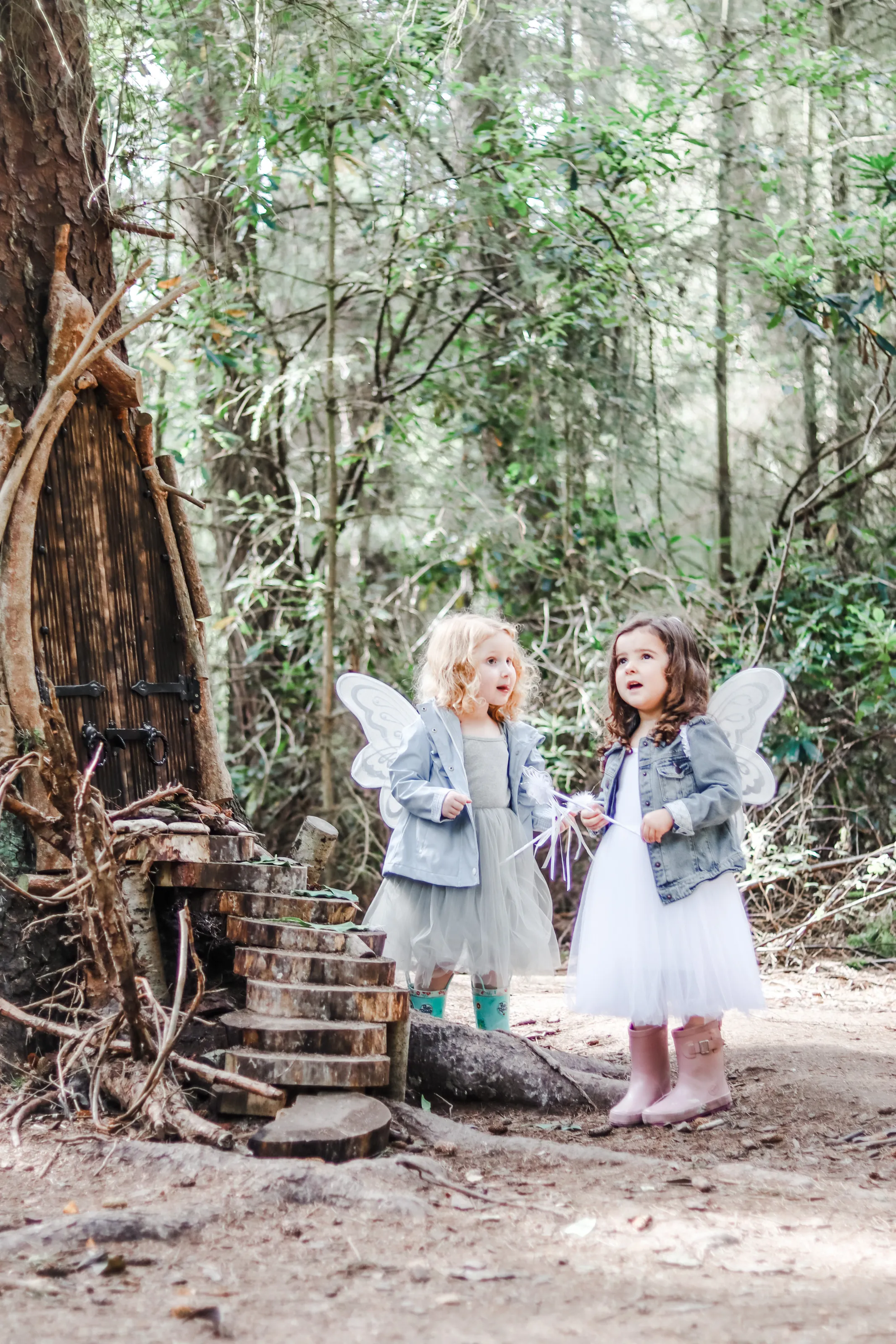 Enchanted woods