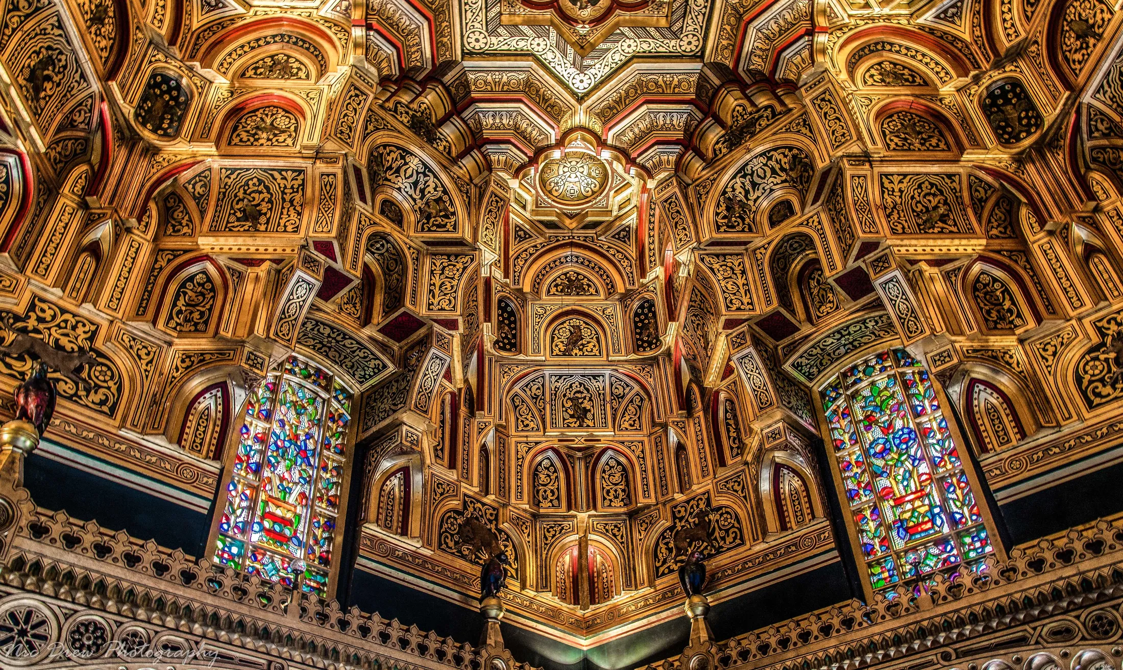 Entry 477677