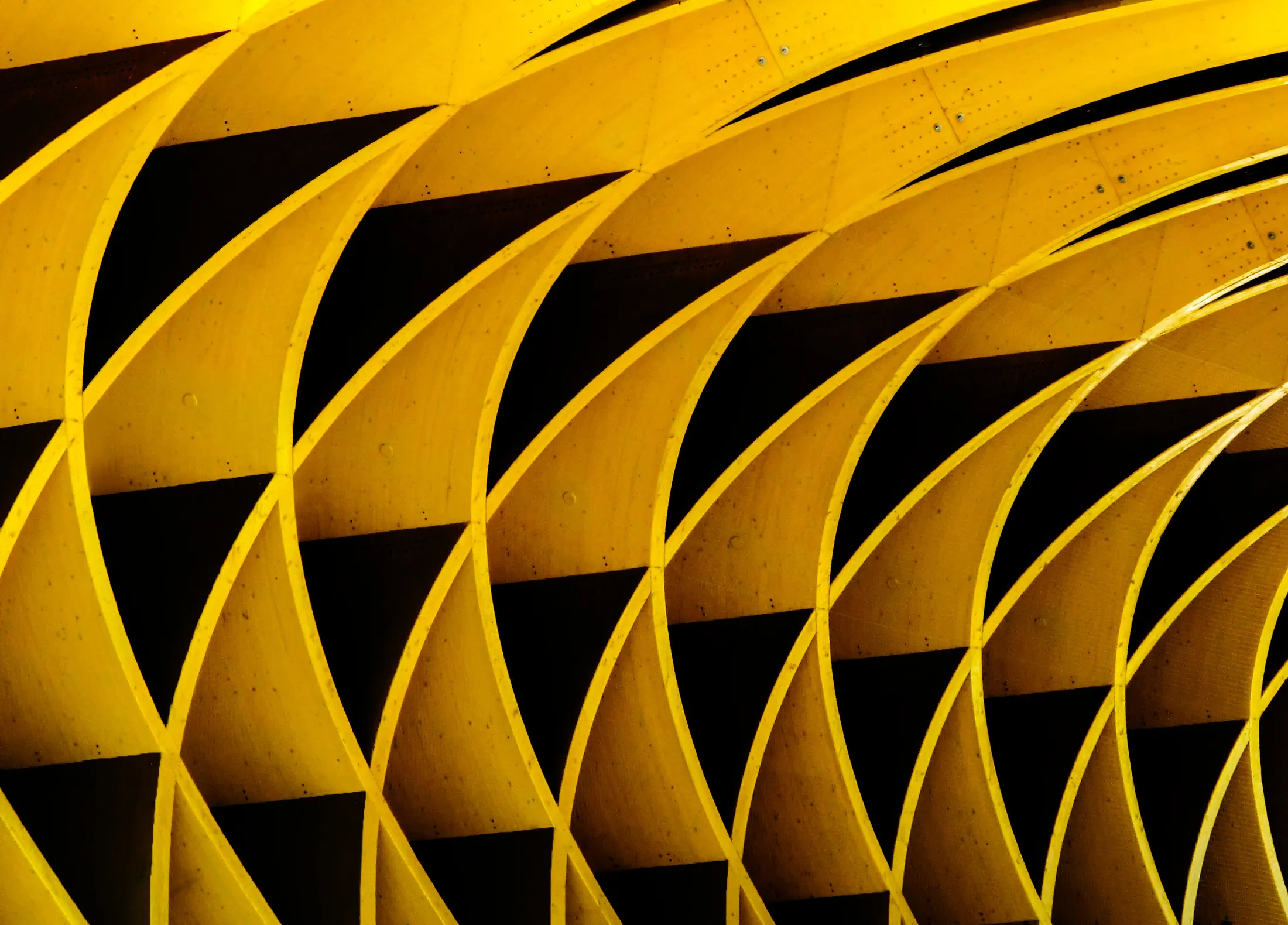 Yellow-Black