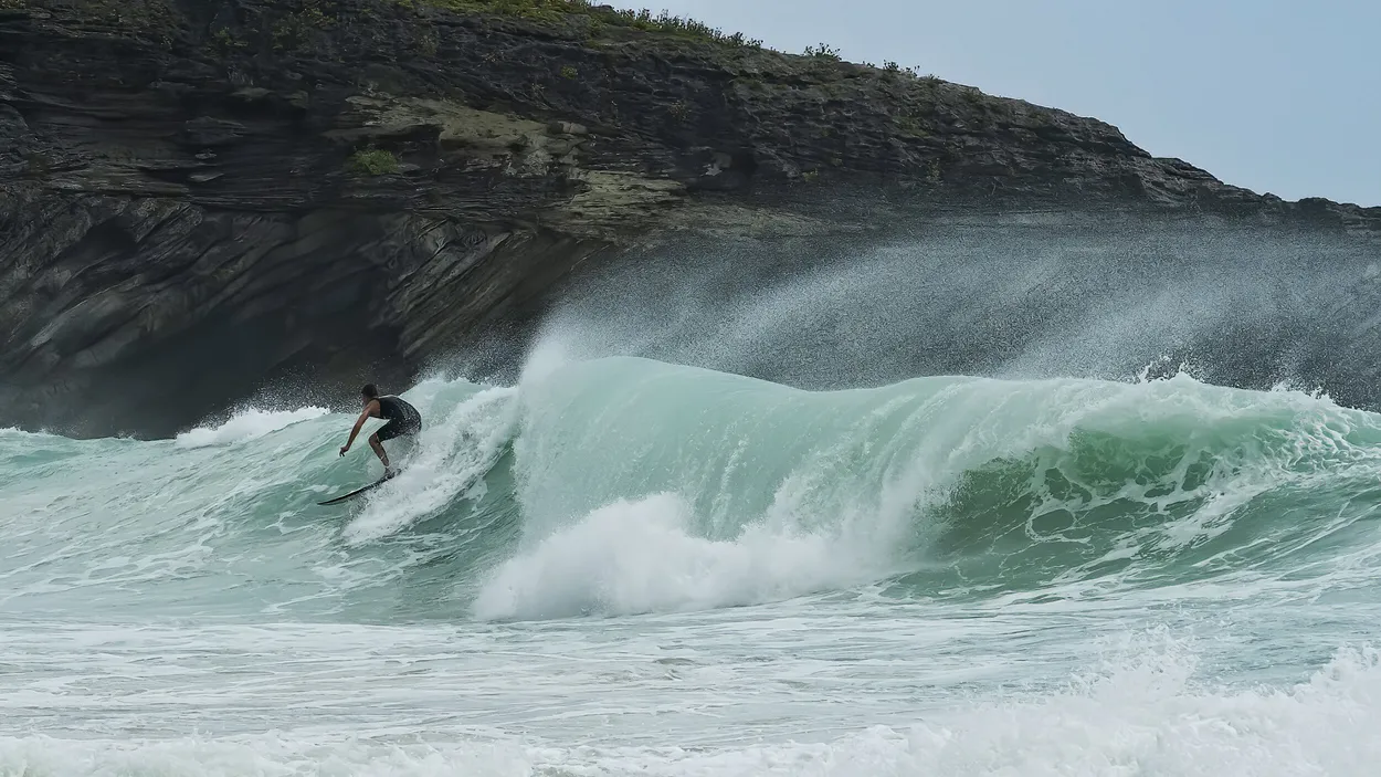 Entry 13669500