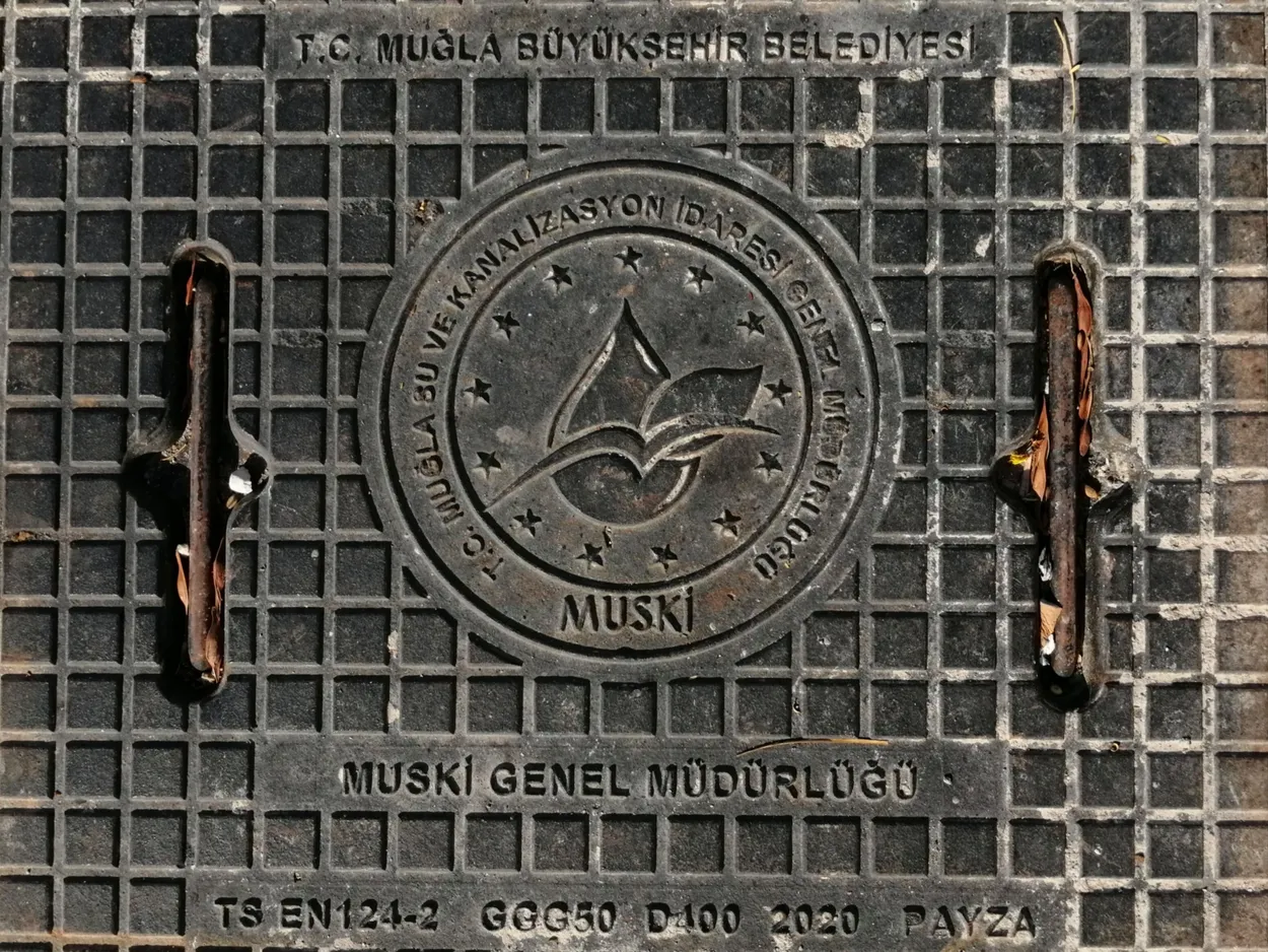 Entry 20245150