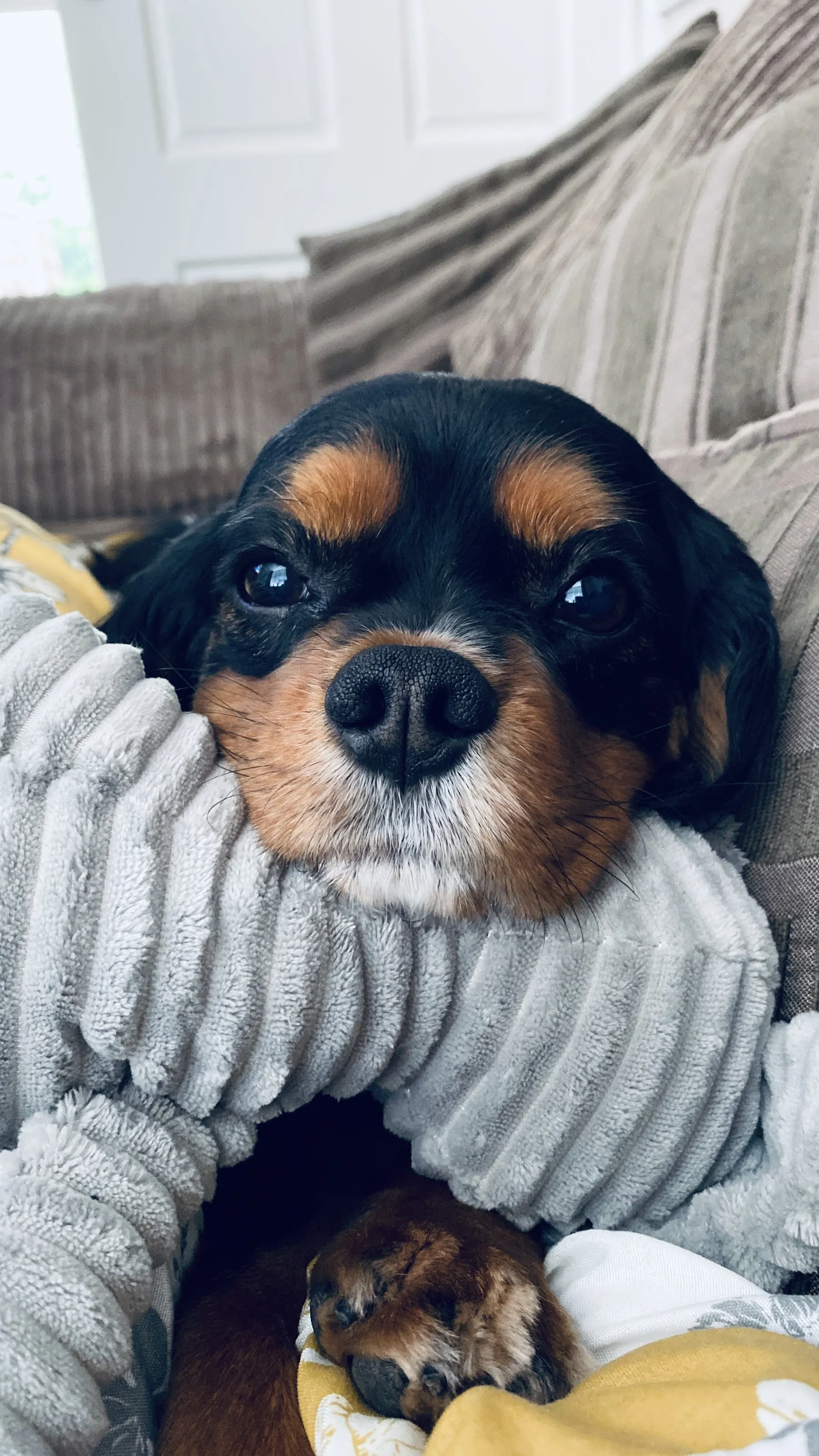 The stare of love