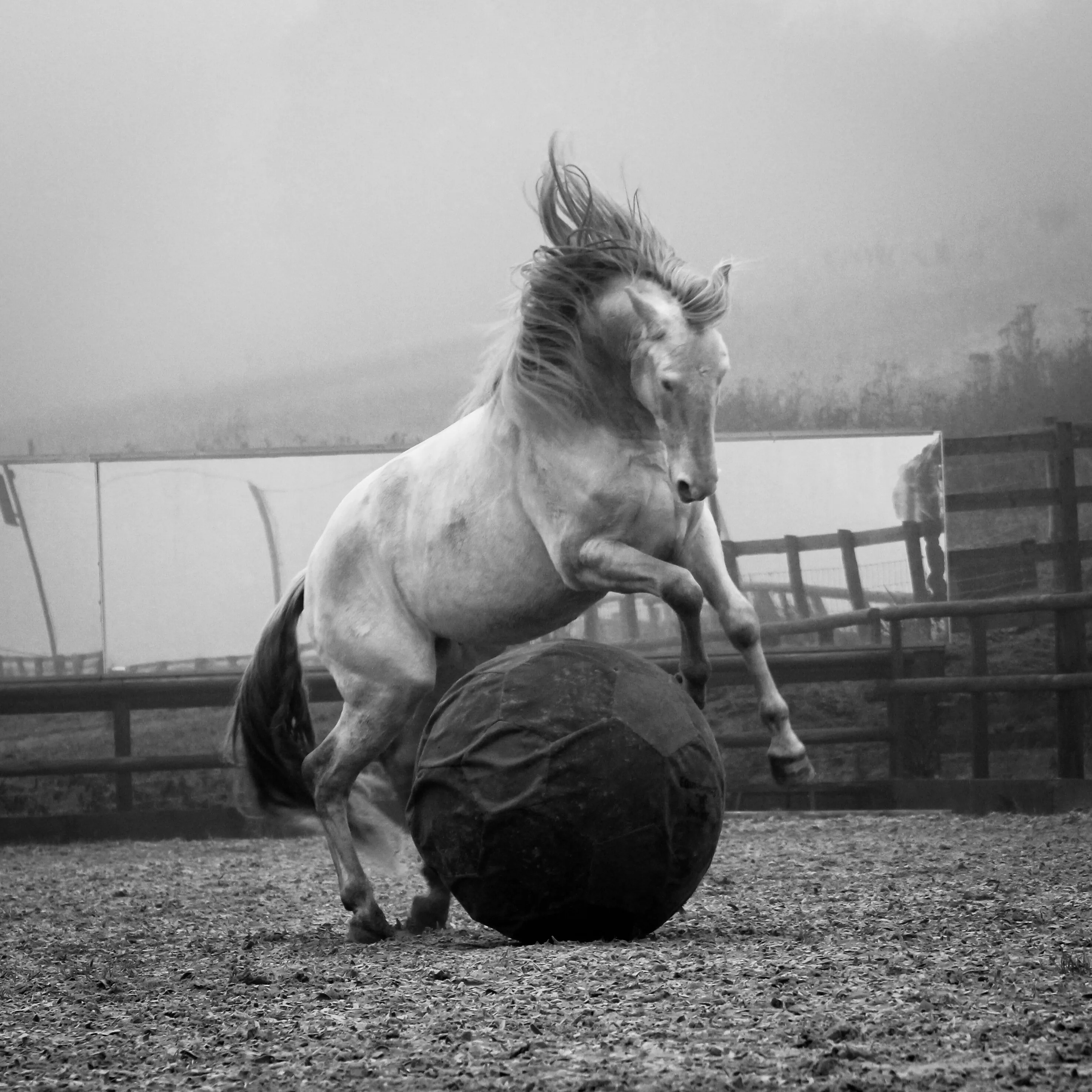 Freedom in play
