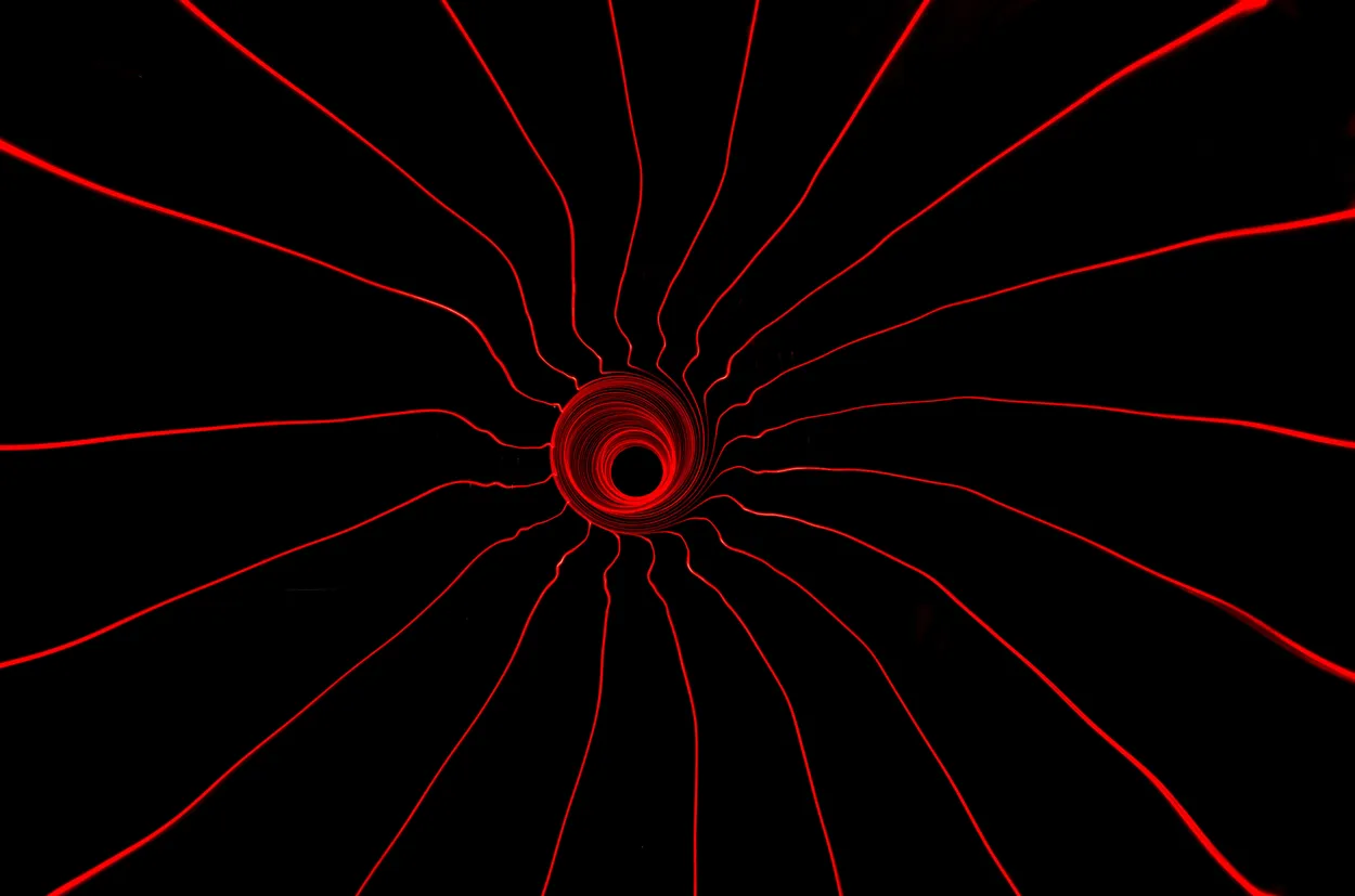 Entry 16946244
