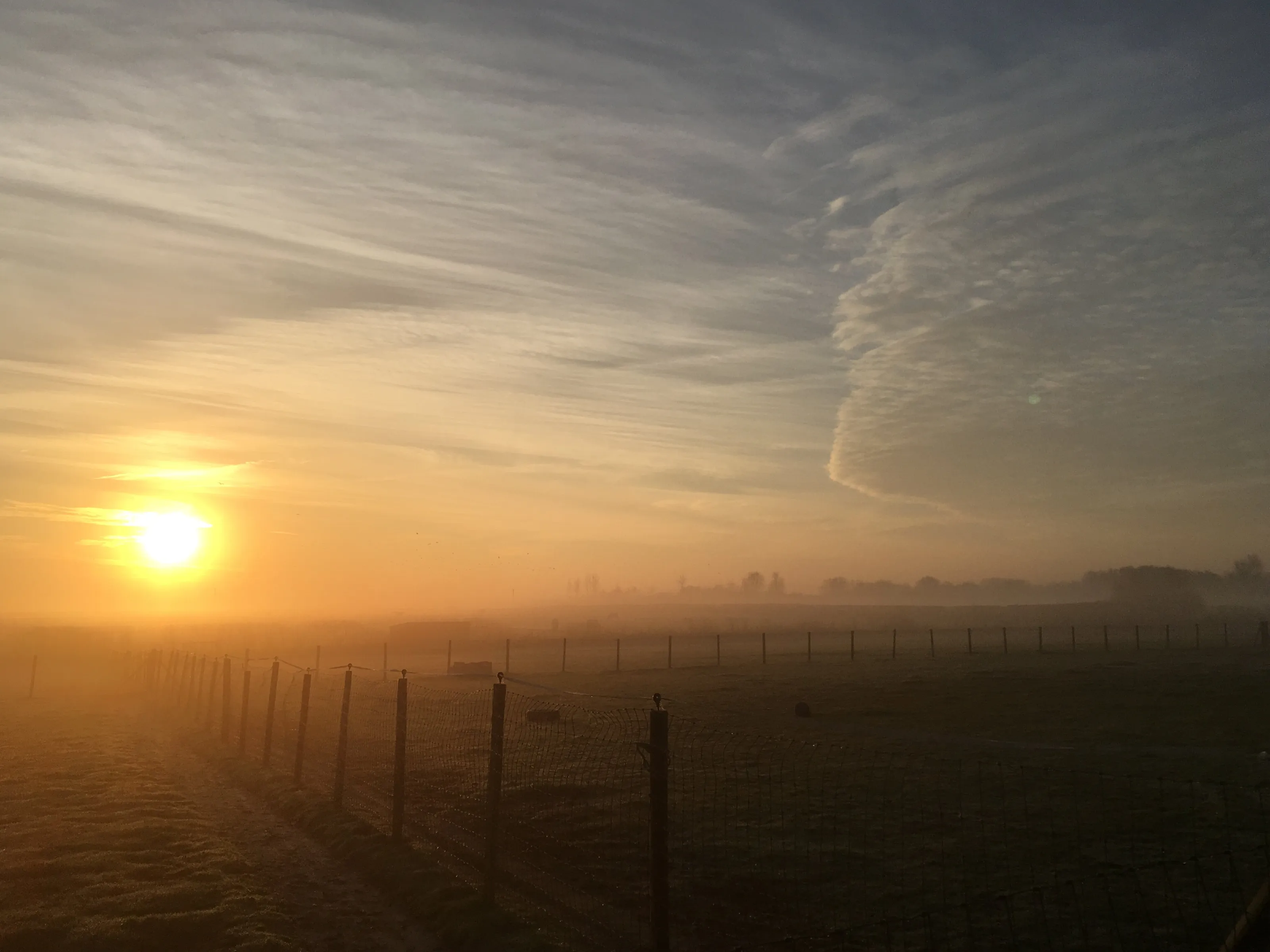 Dawn mist