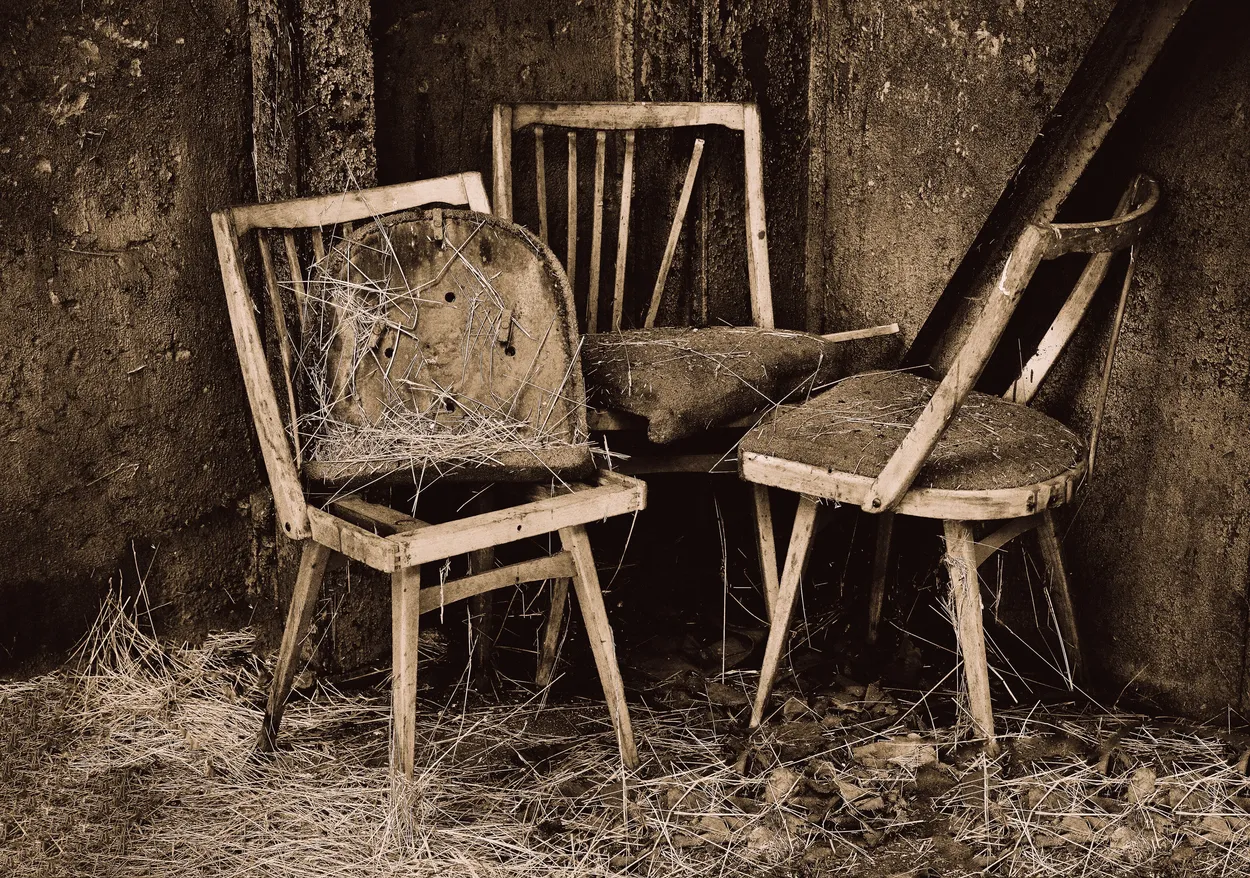 Entry 1173235
