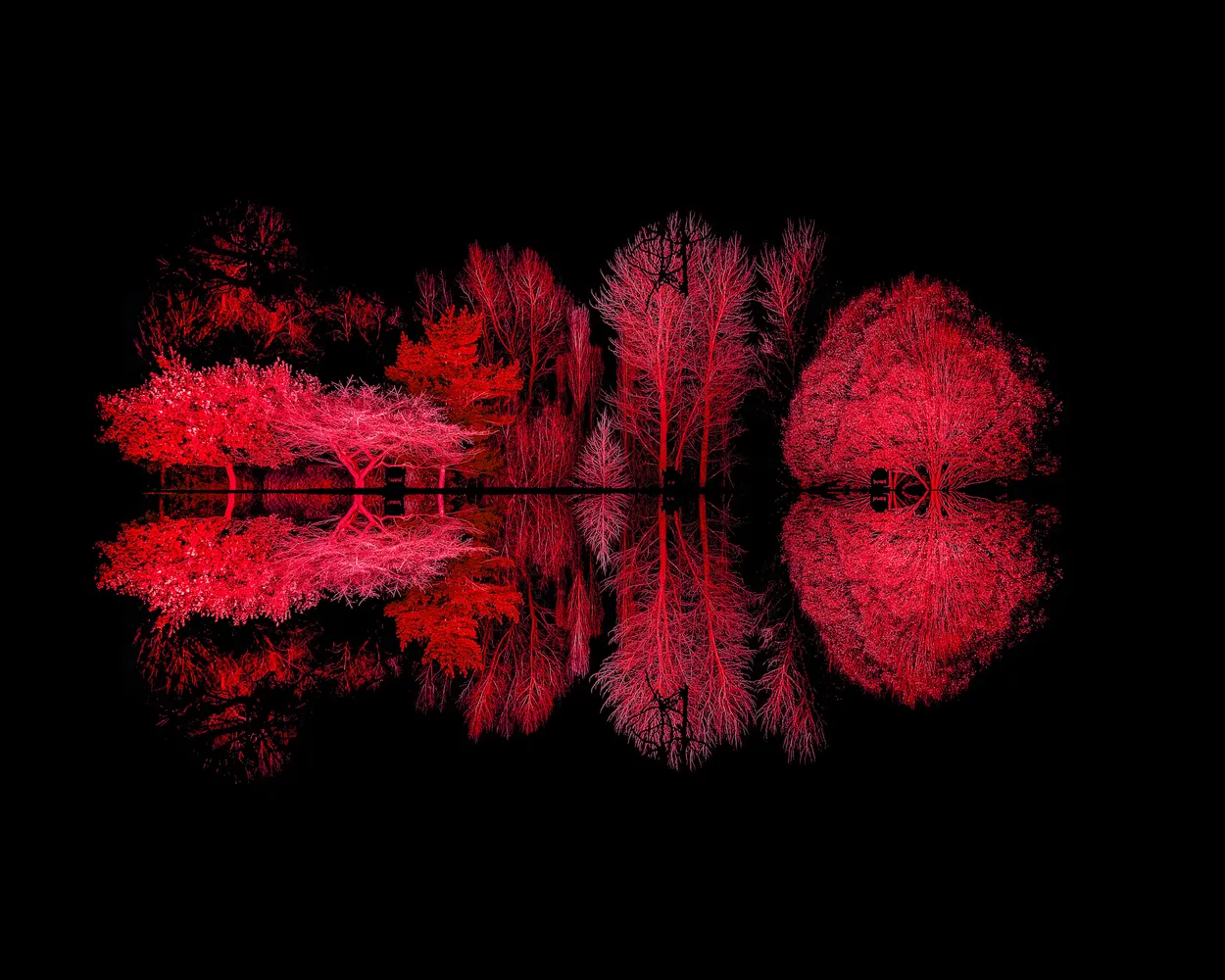 Island Of Light