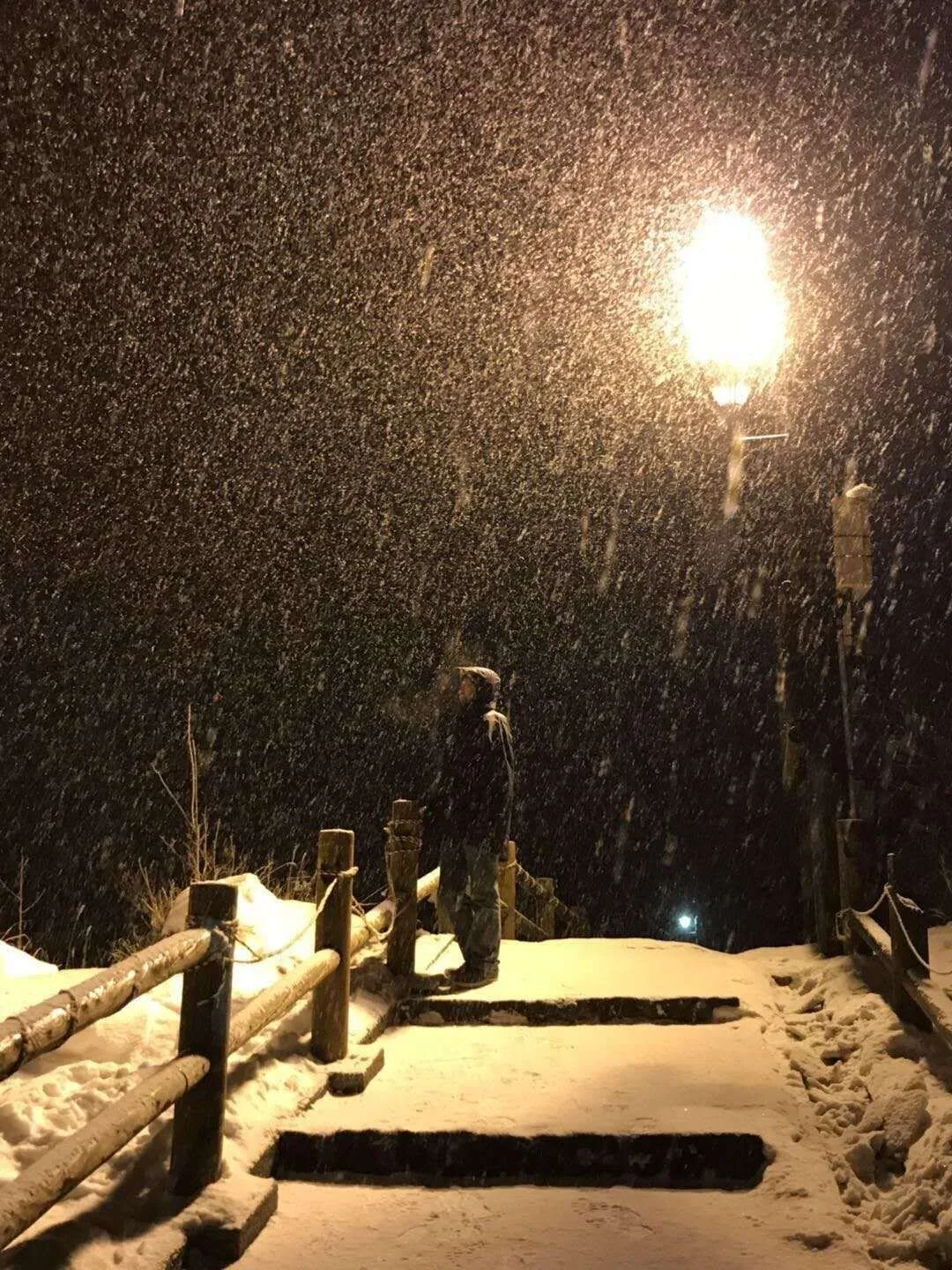 Father in Snow 雪中的父亲