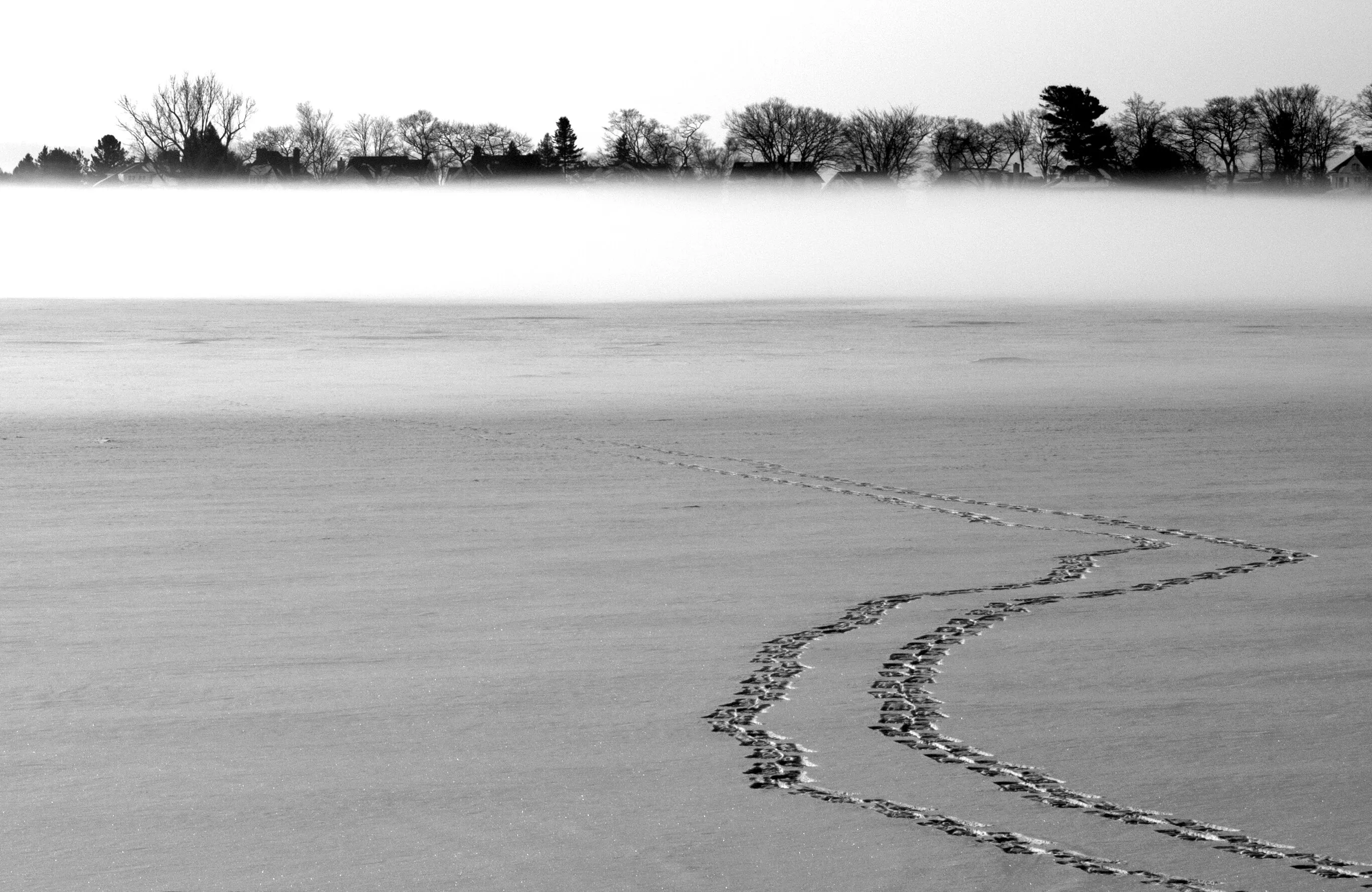 Across the Ice