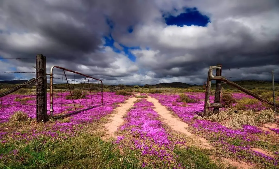 Beauty Awaits
