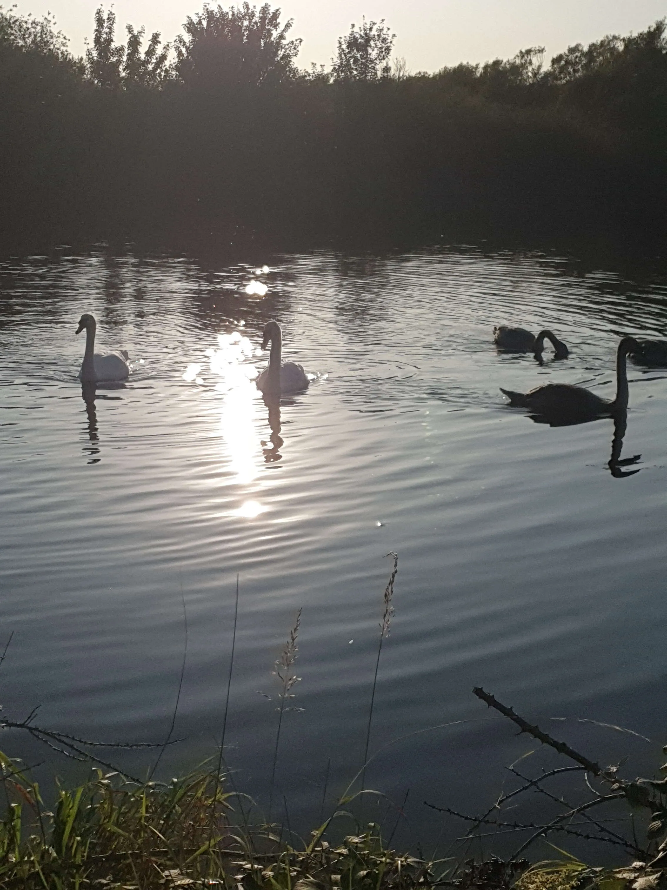 Late afternoon sun