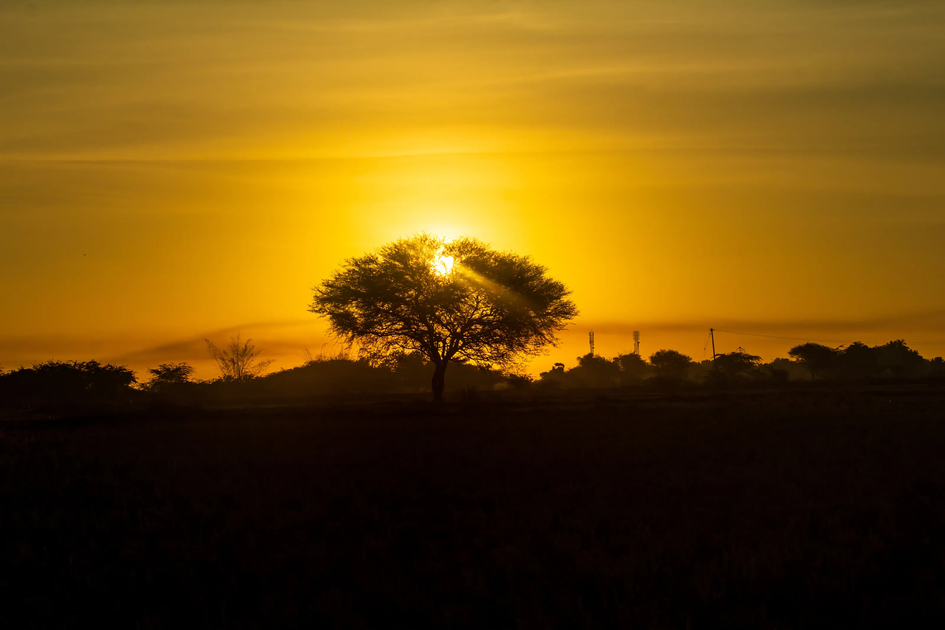 Hope and Rise
