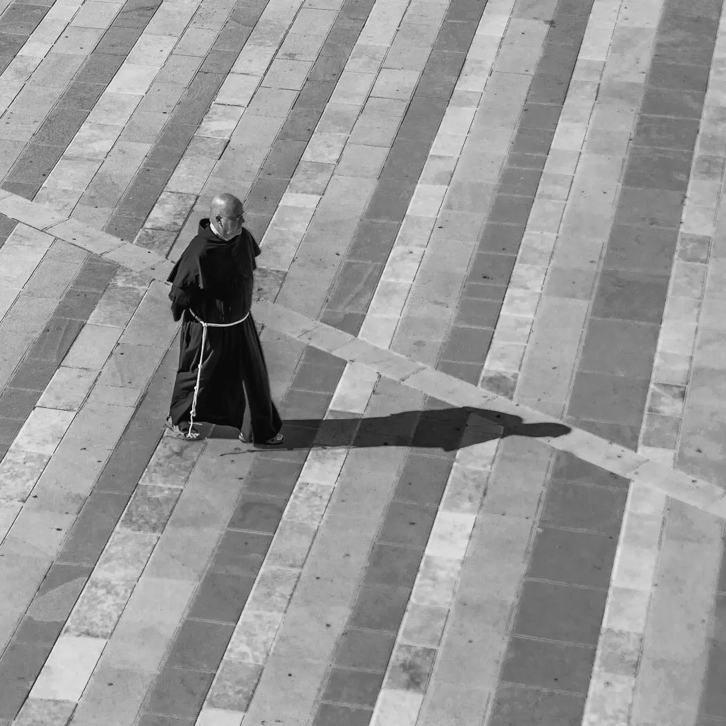 The Assisi Shadow leads the way