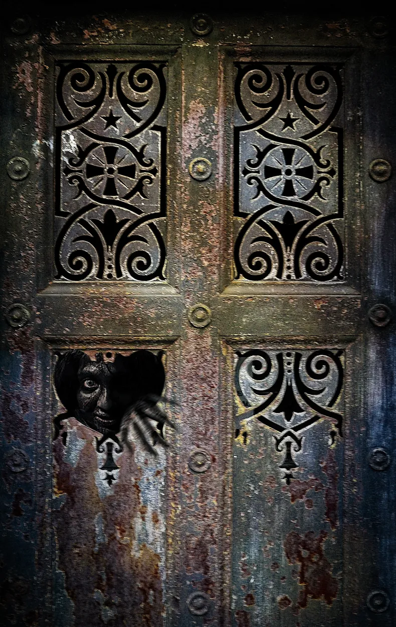 Entry 13071646