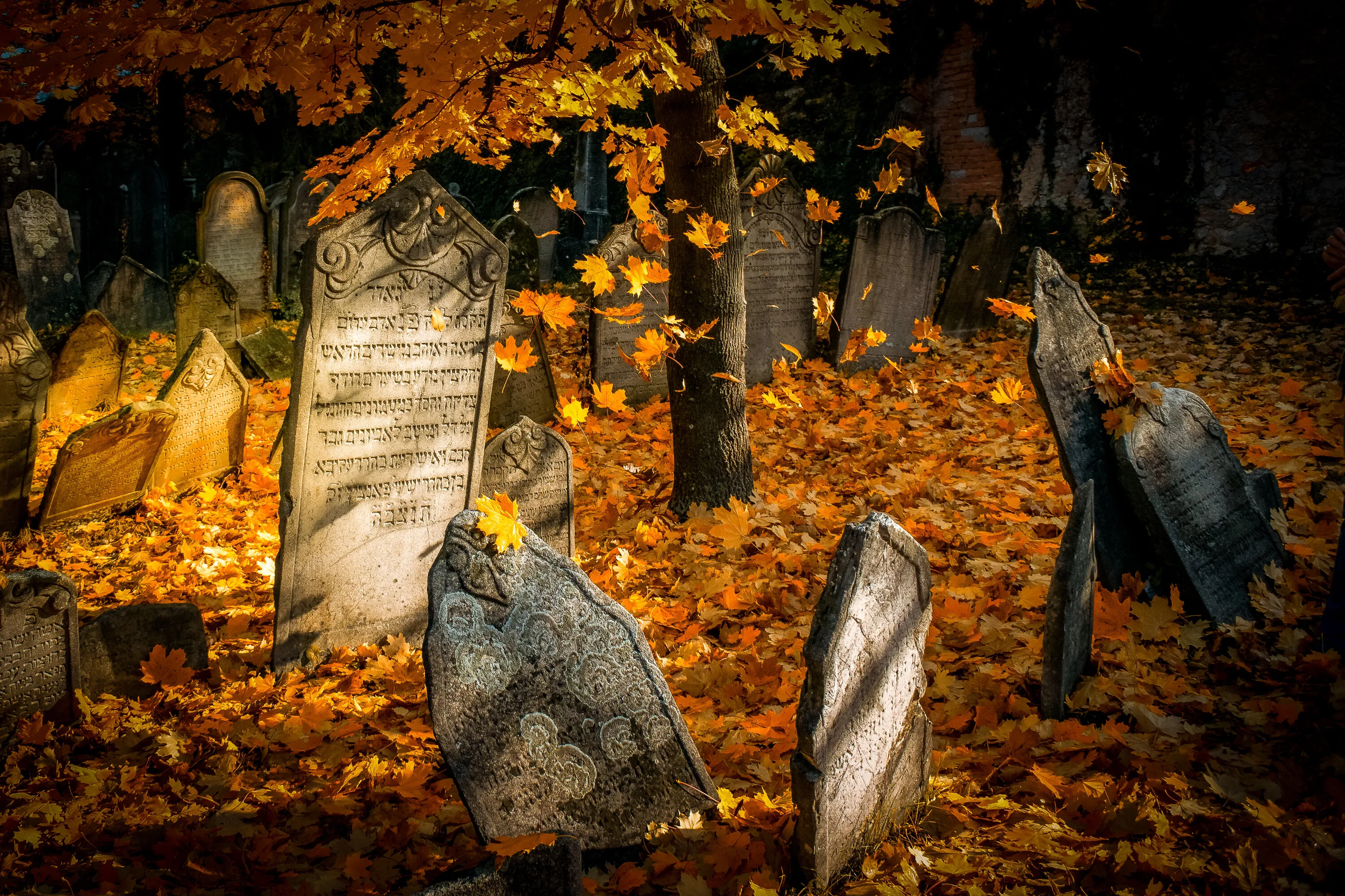 Autumn everywhere
