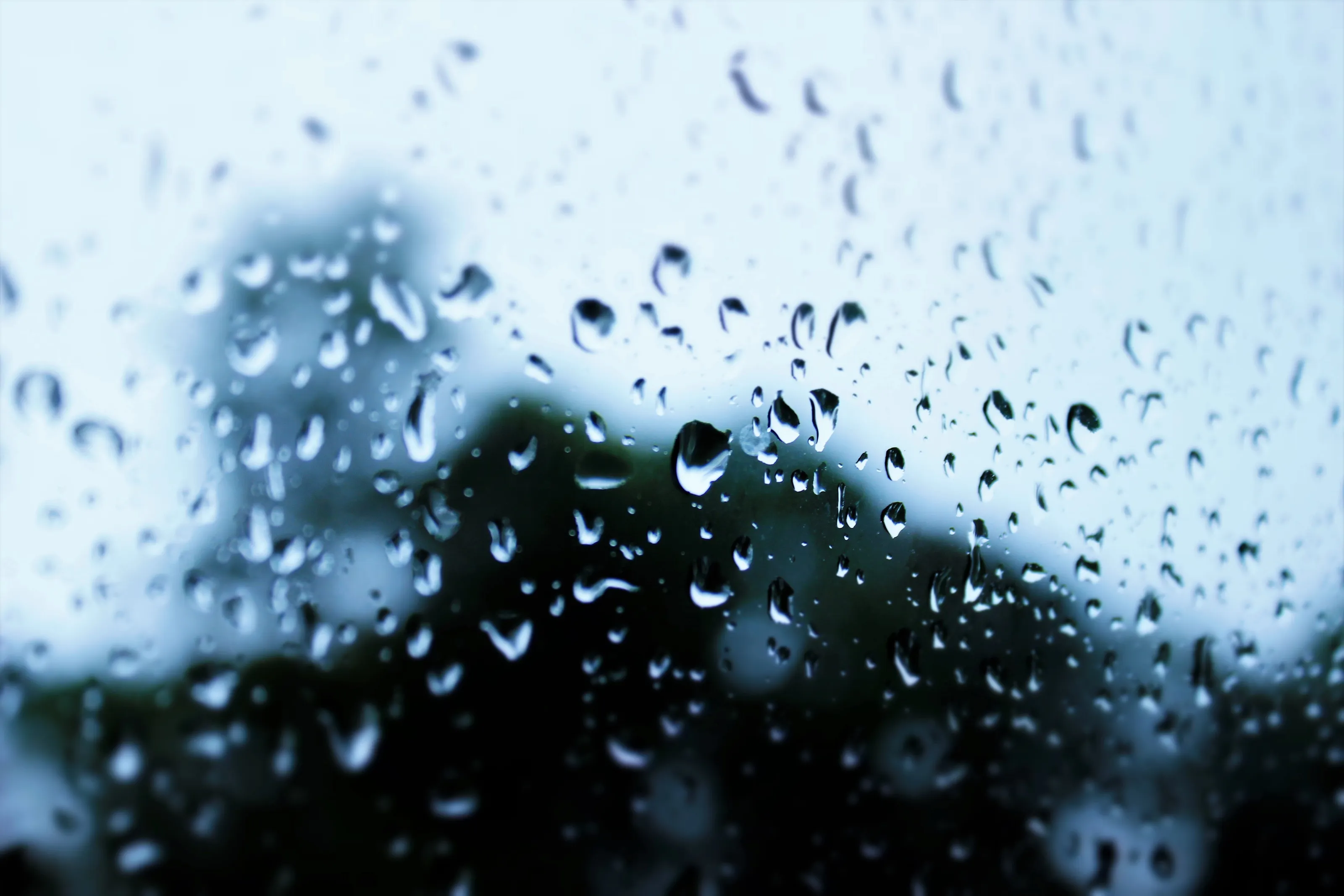 Rain Drops on the Window