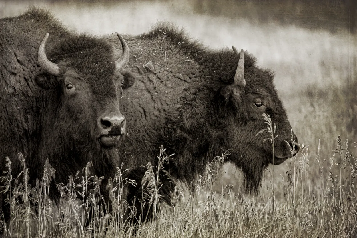 Entry 7550074