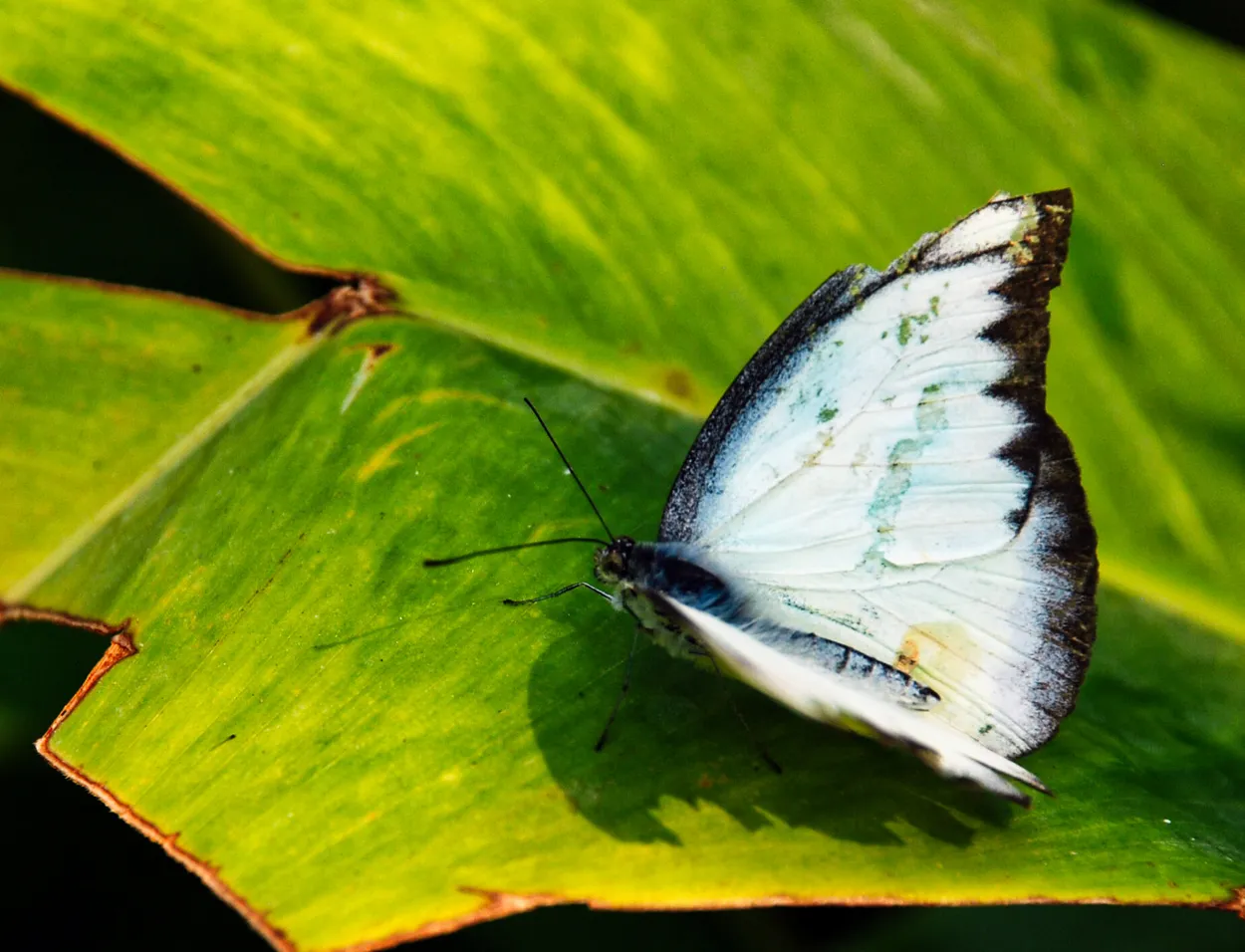 Entry 19430372