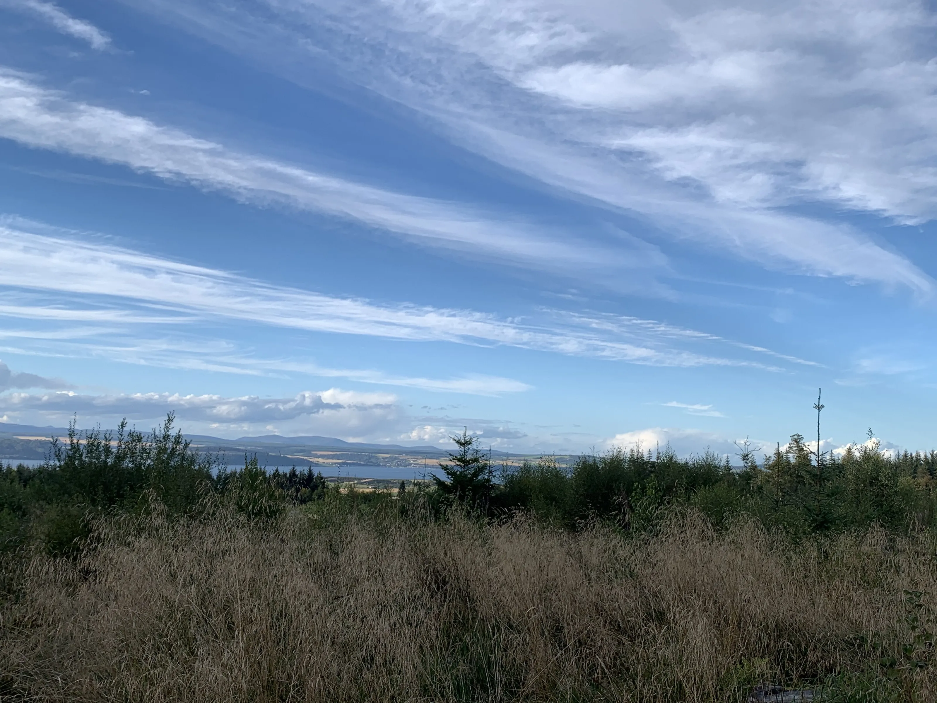The black isle