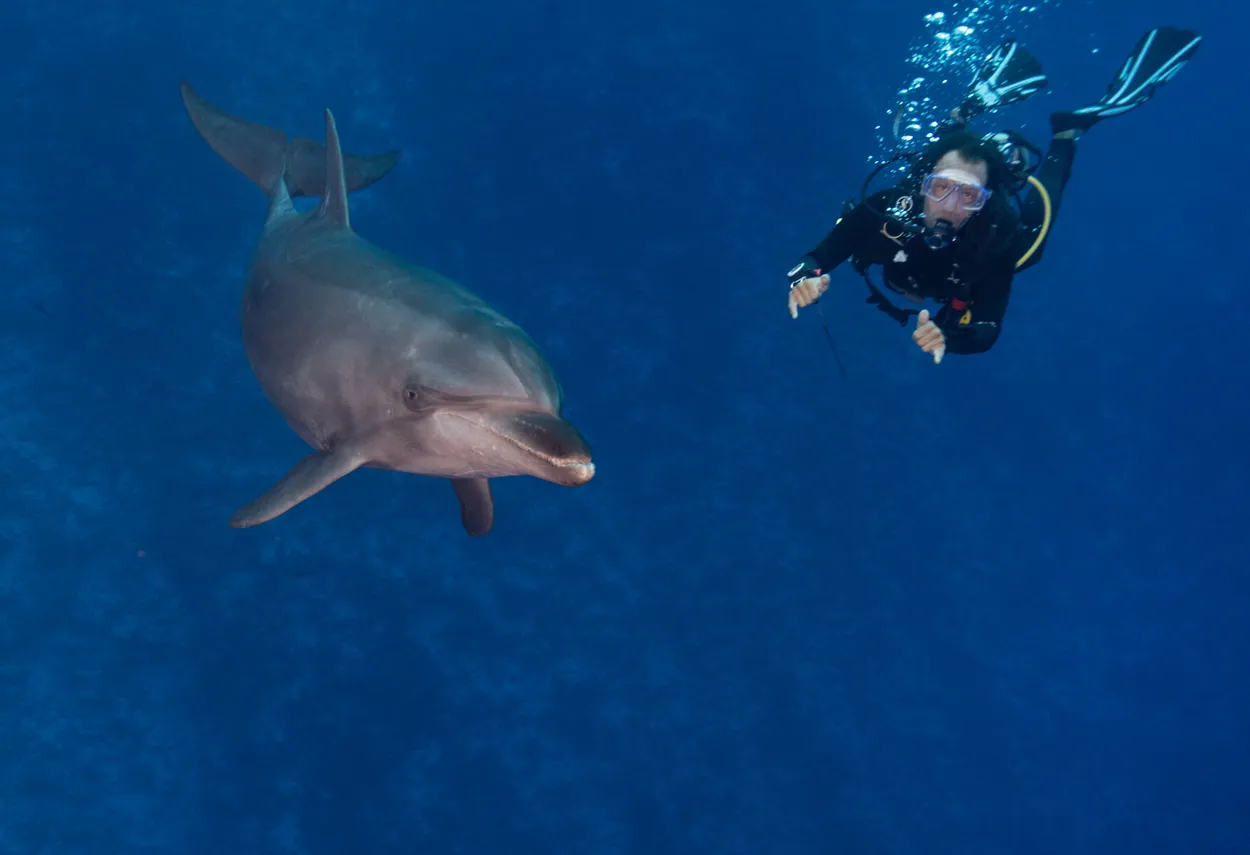 Entry 7566158