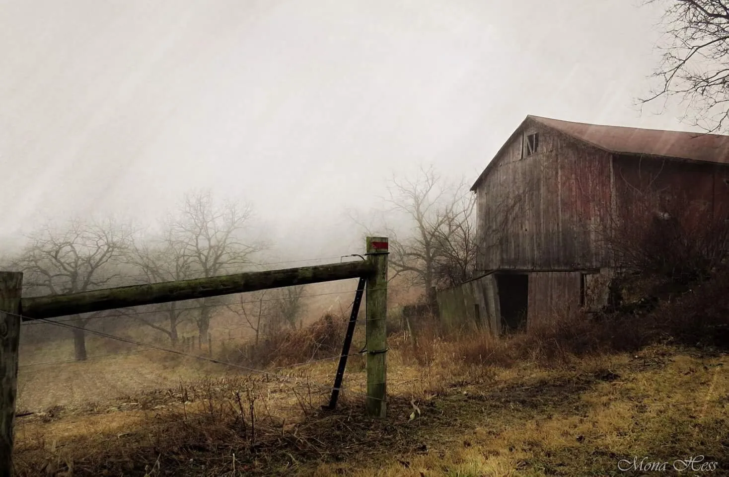 On the farm