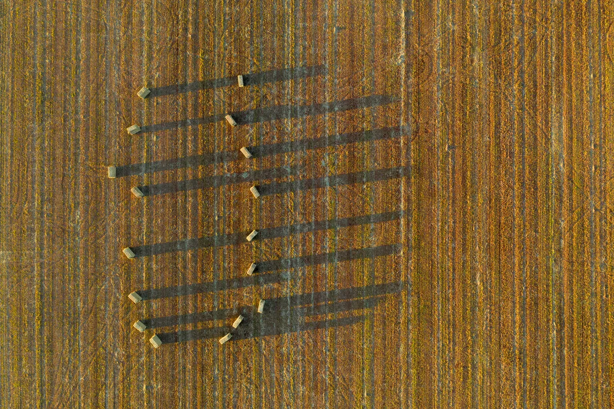 Entry 25741795