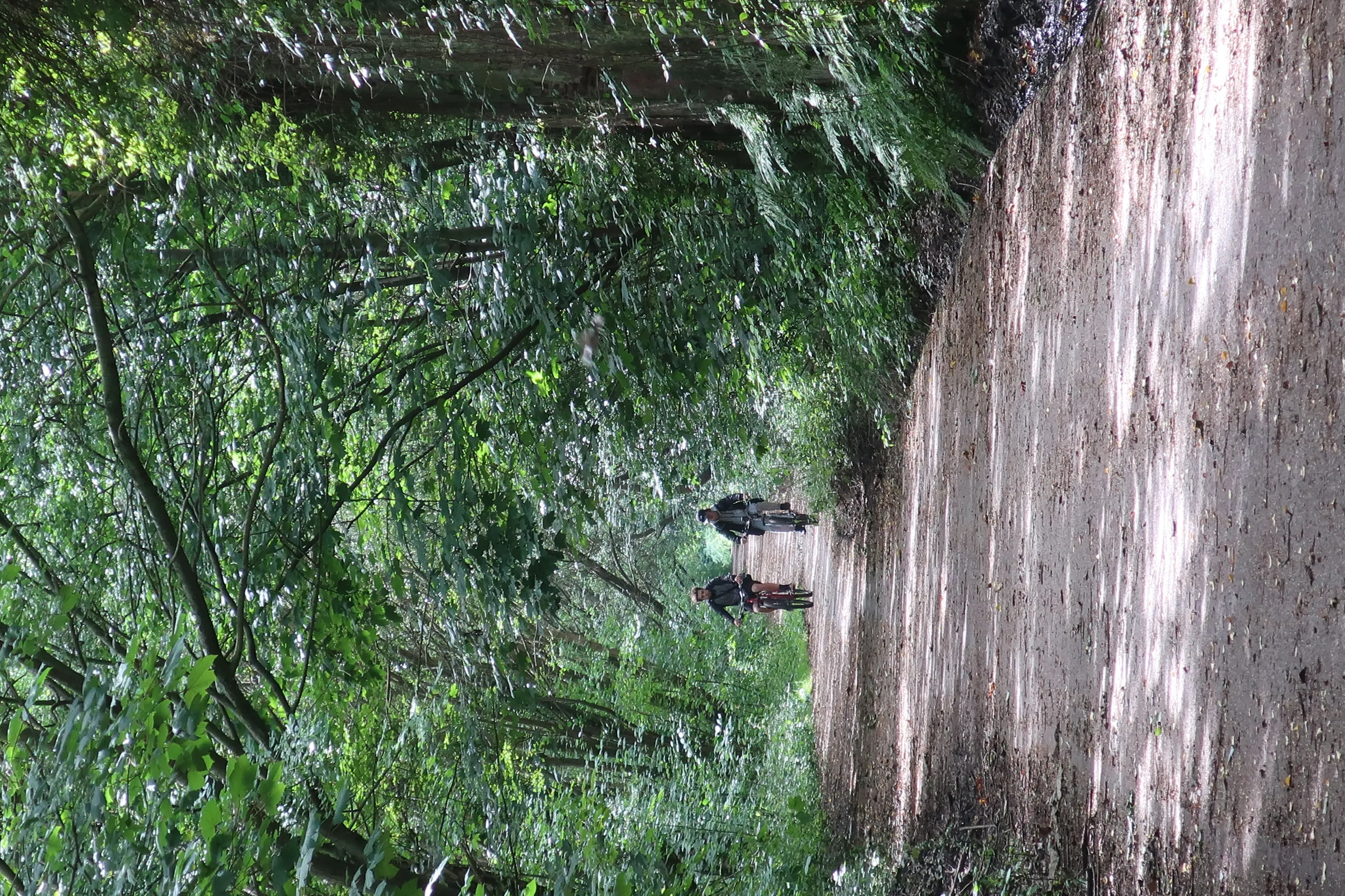 Eastham Docks Trail