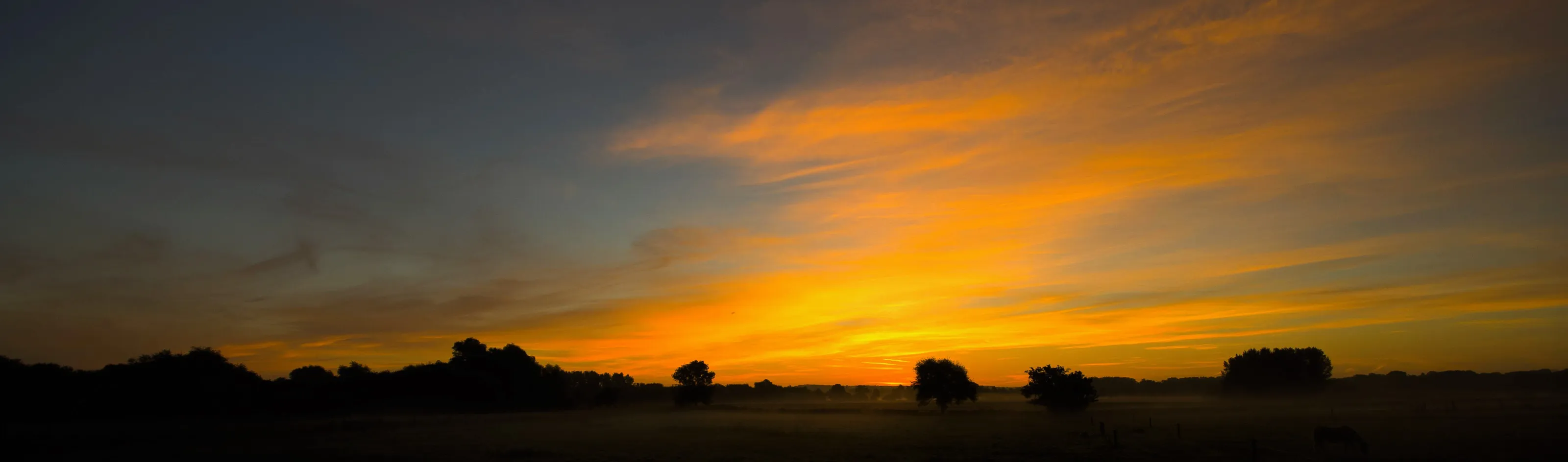 Dawn, Oundle, Cambs
