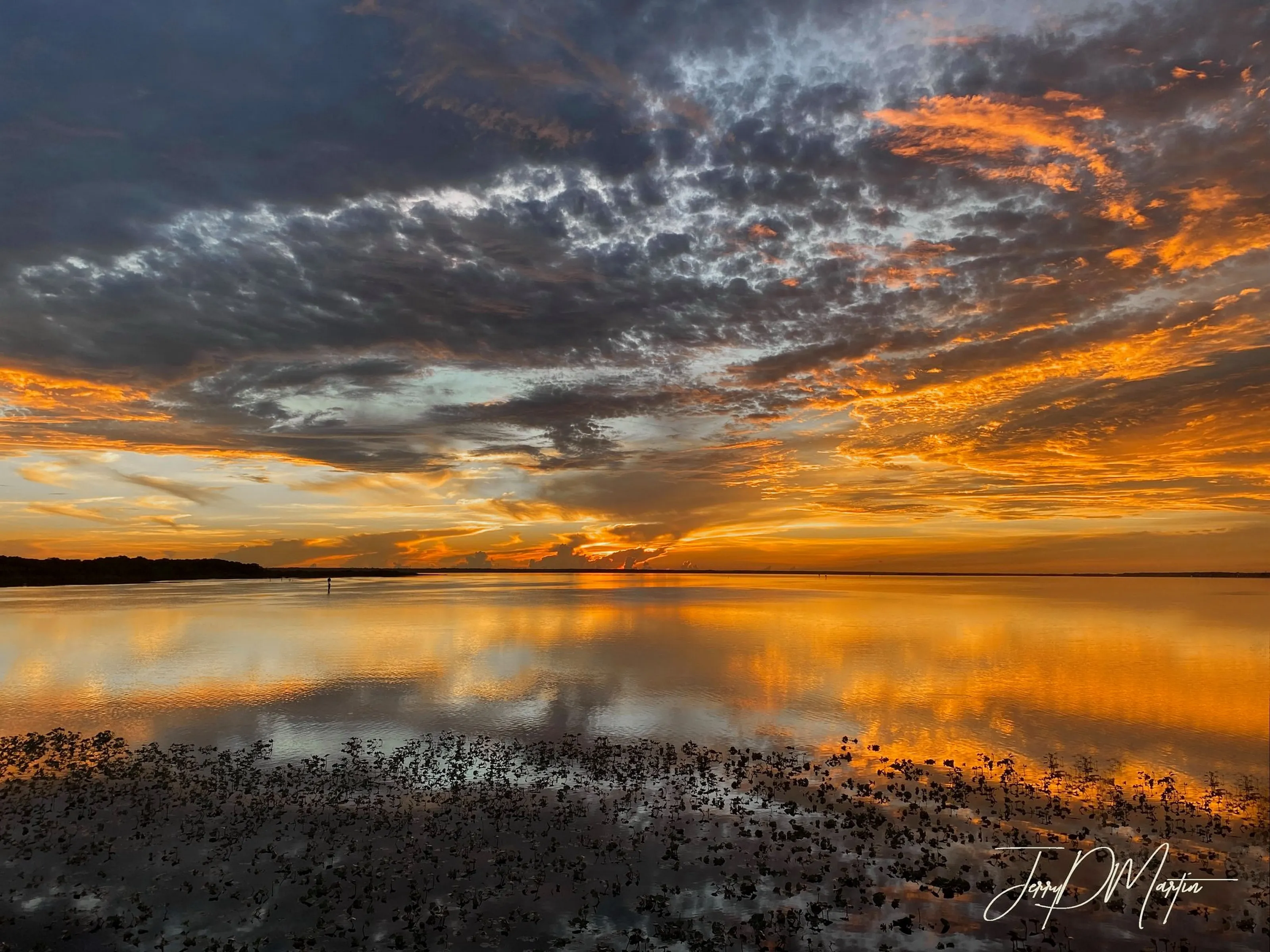Morning Splendor