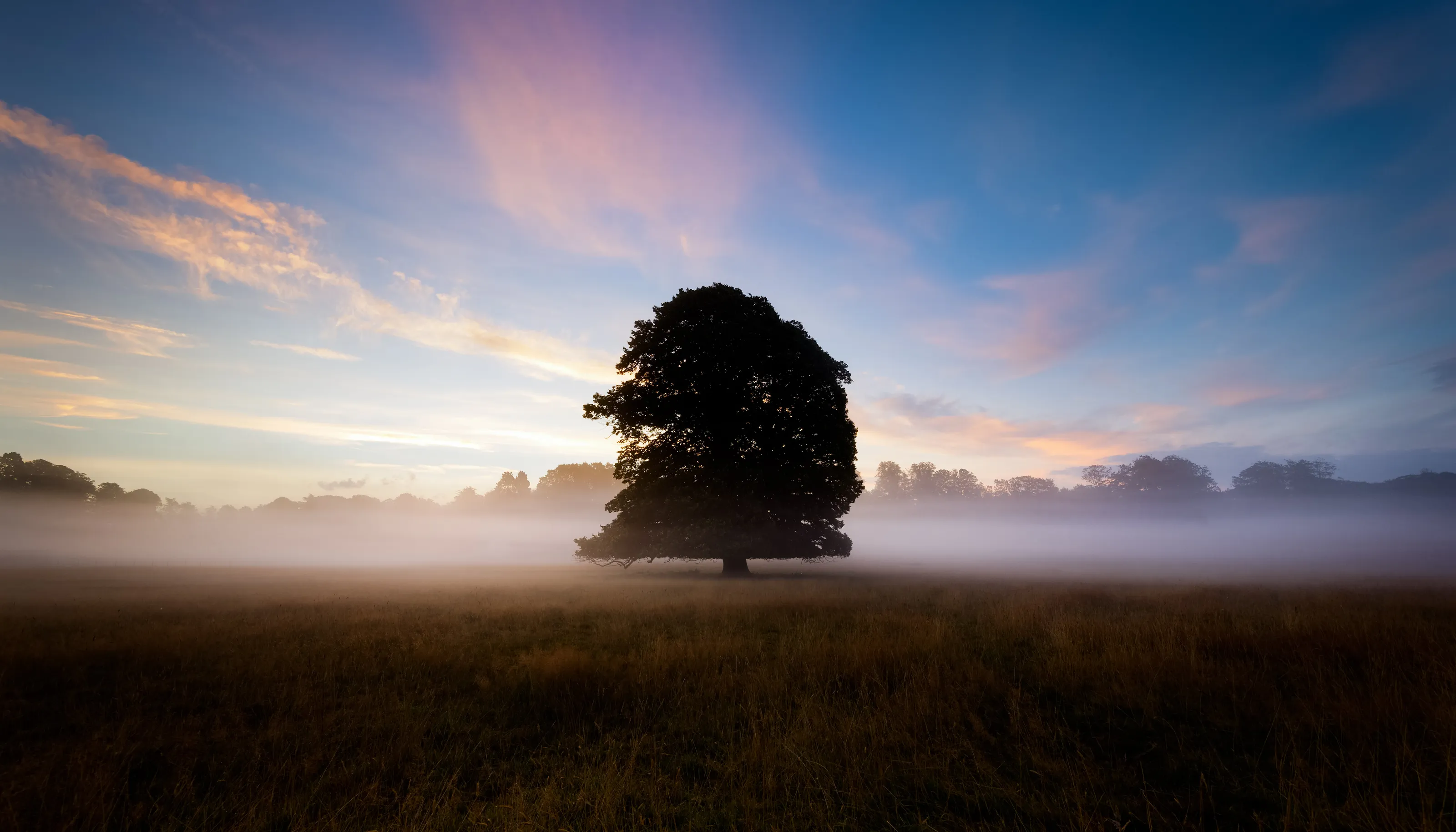 Mist excursion