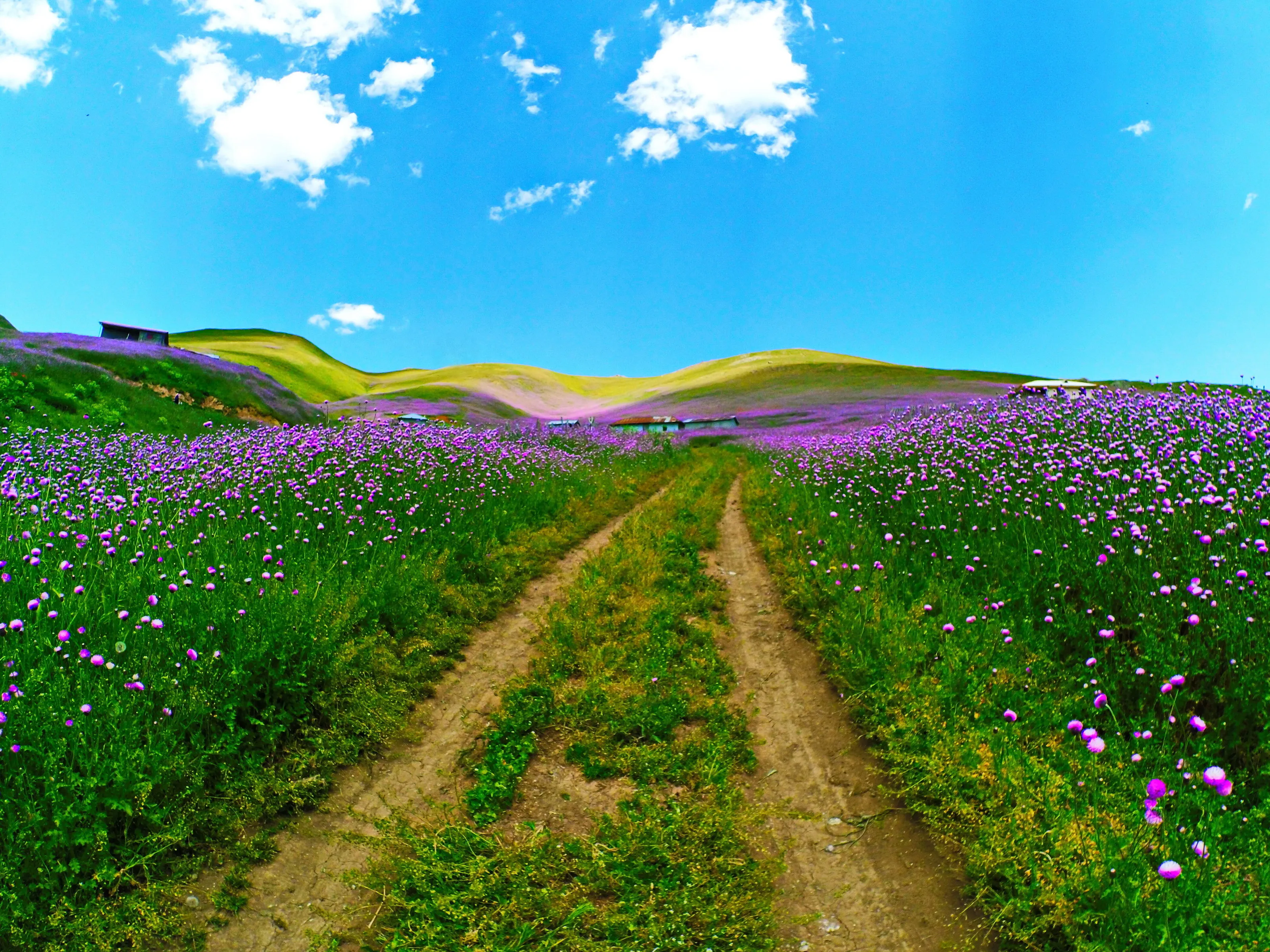 road to heaven