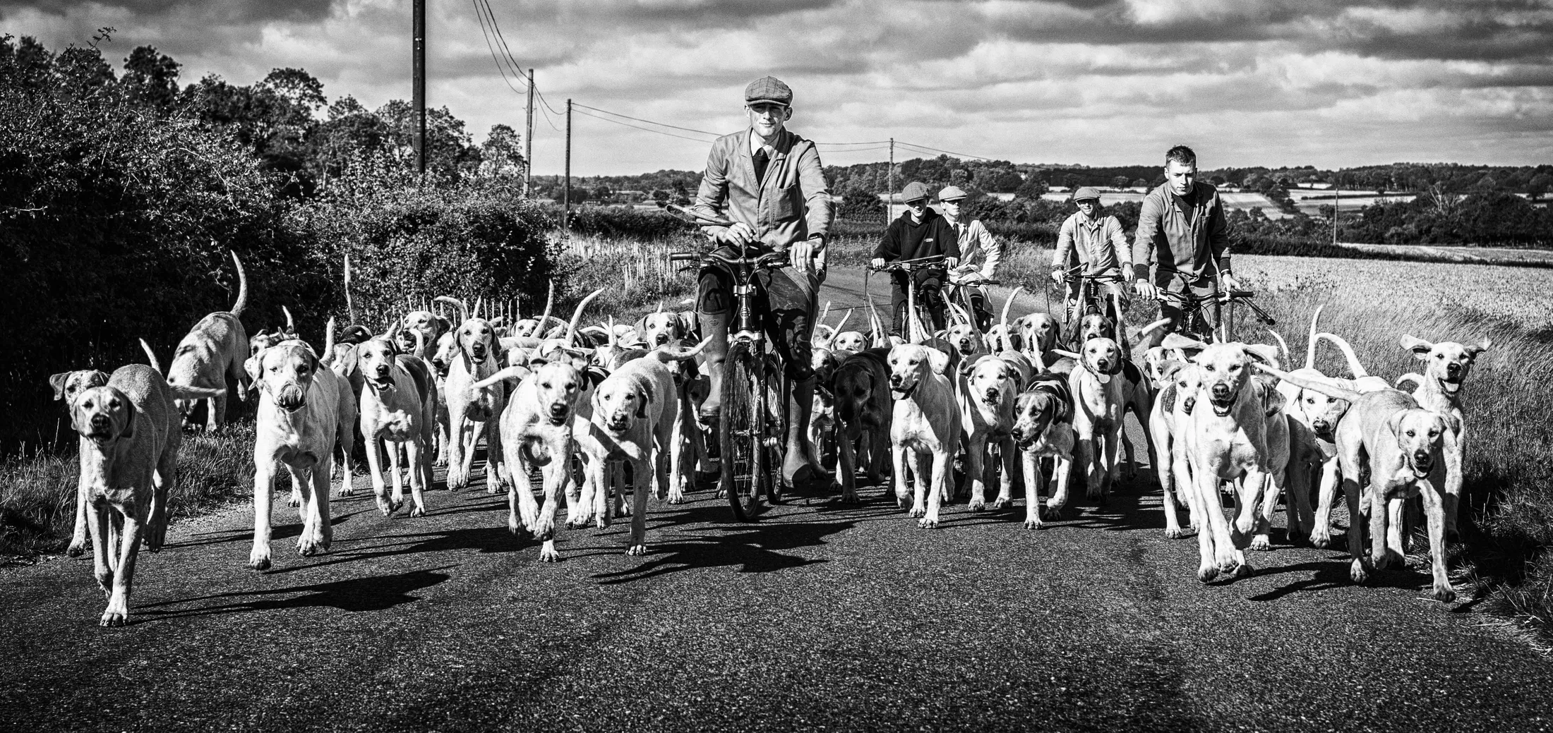 Entry 13933124