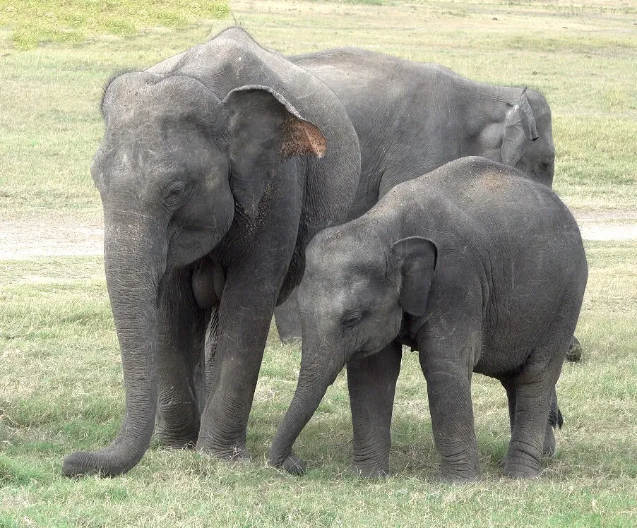 Entry 7620168