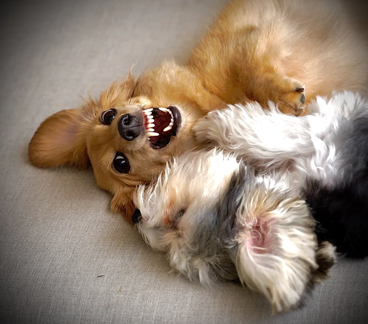 Entry 7629580