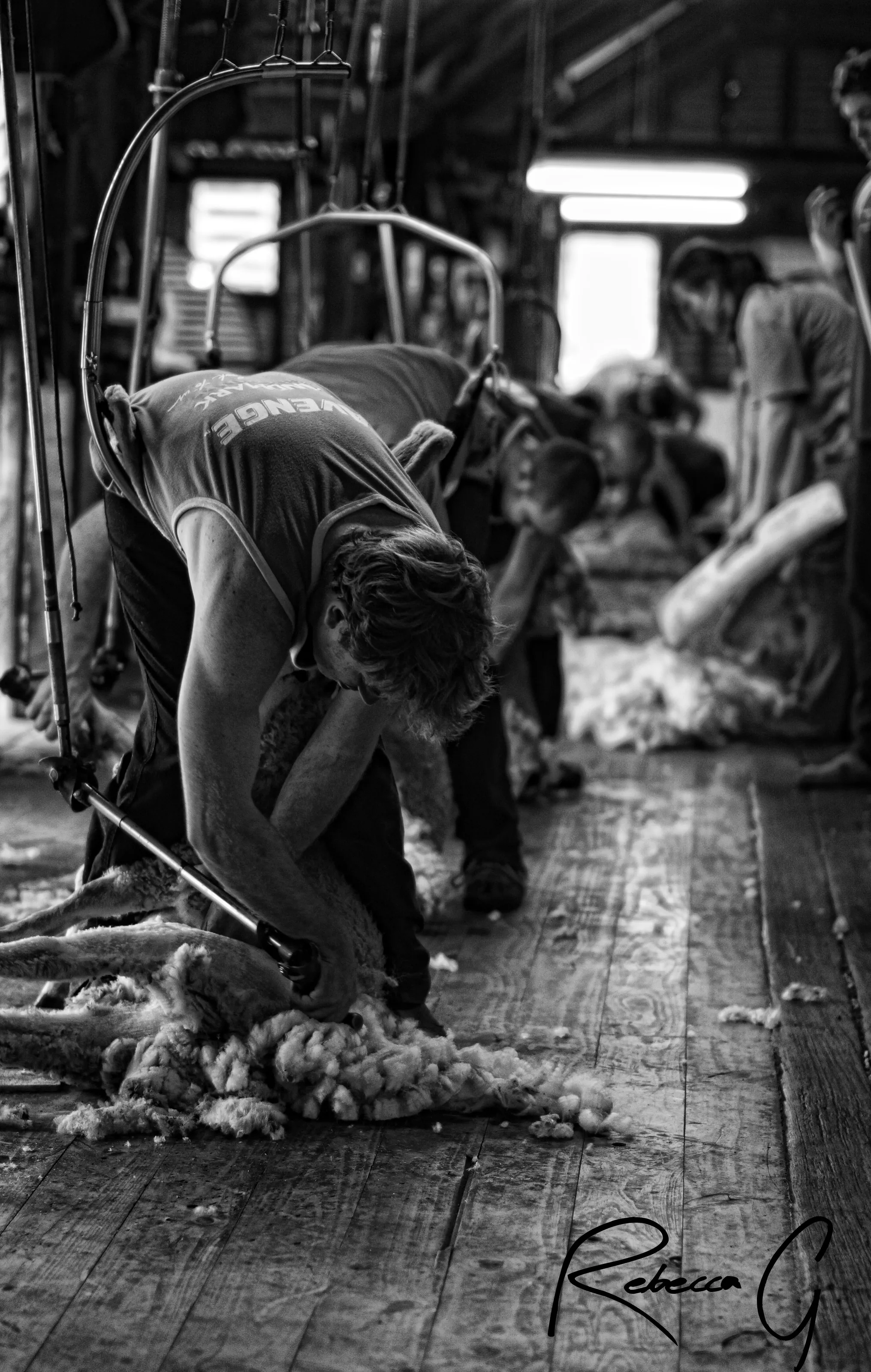Blood, Sweat and Shears