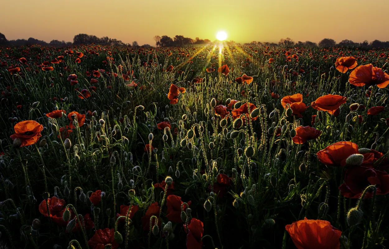 Dawn magic