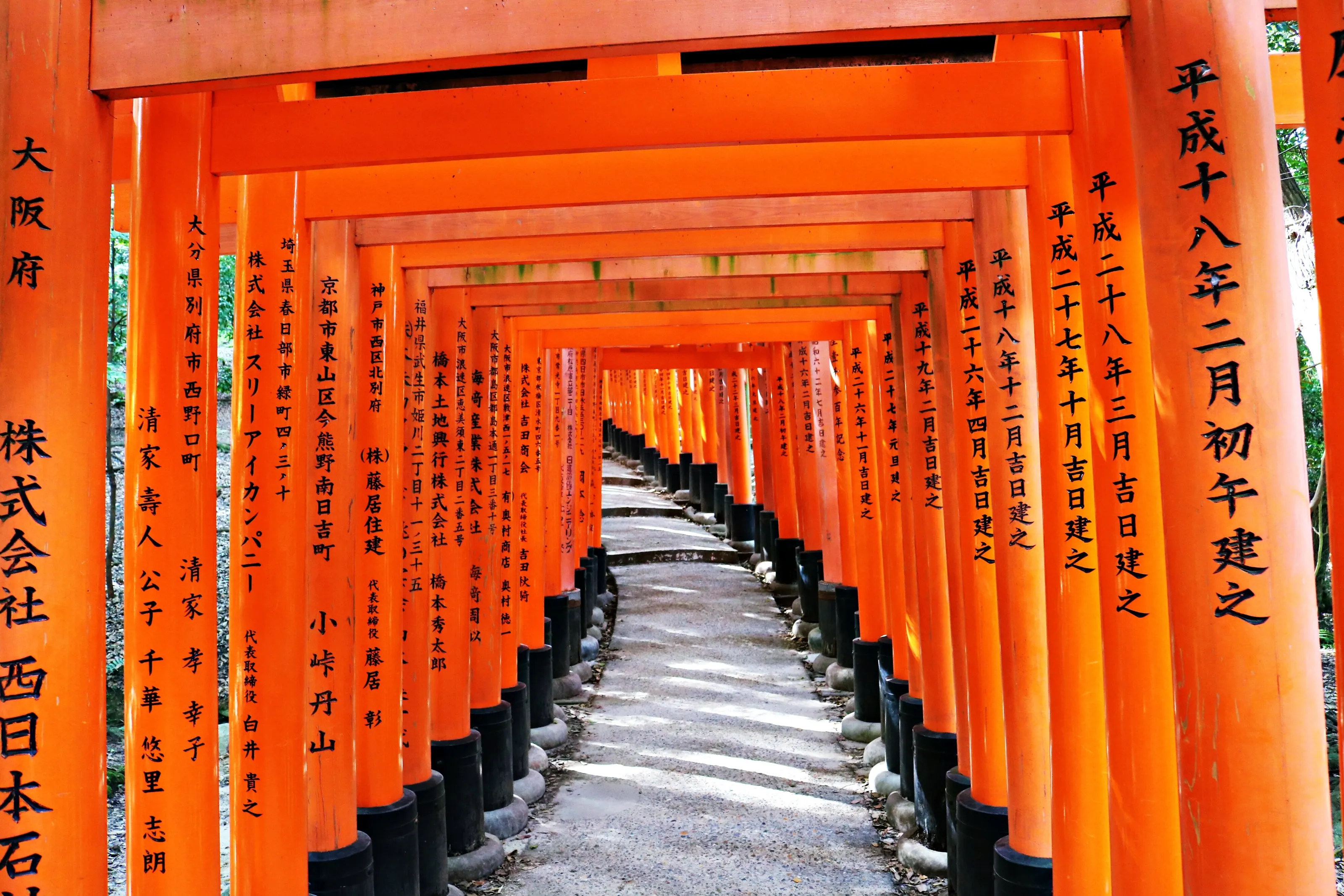 Japan's Rot