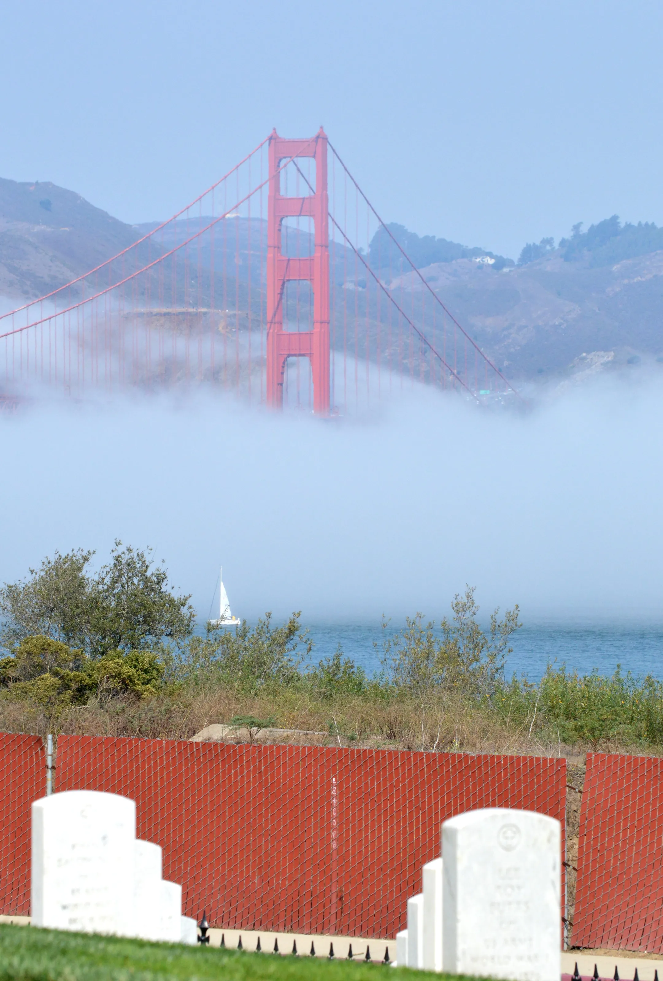Golden gate view