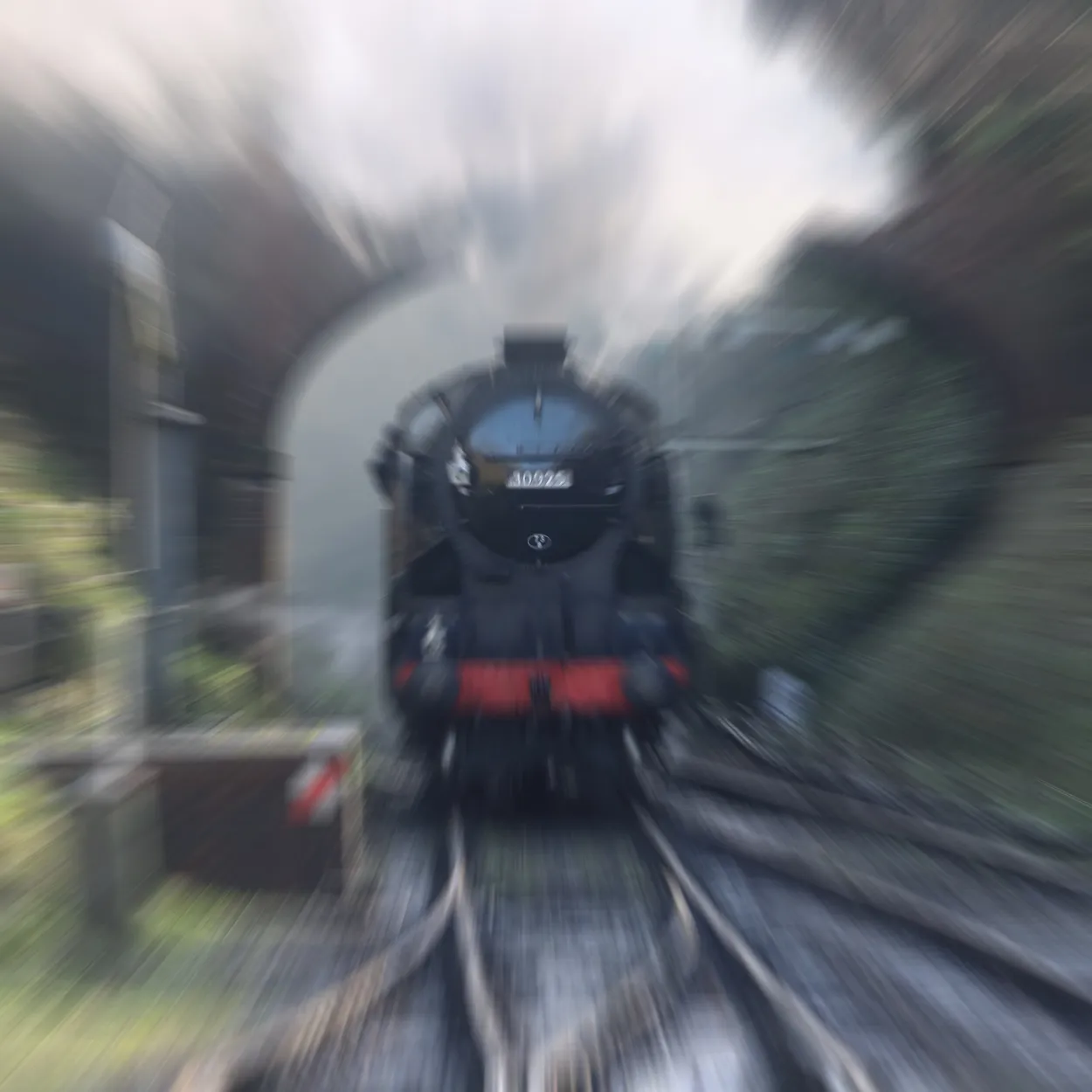 Entry 7914196