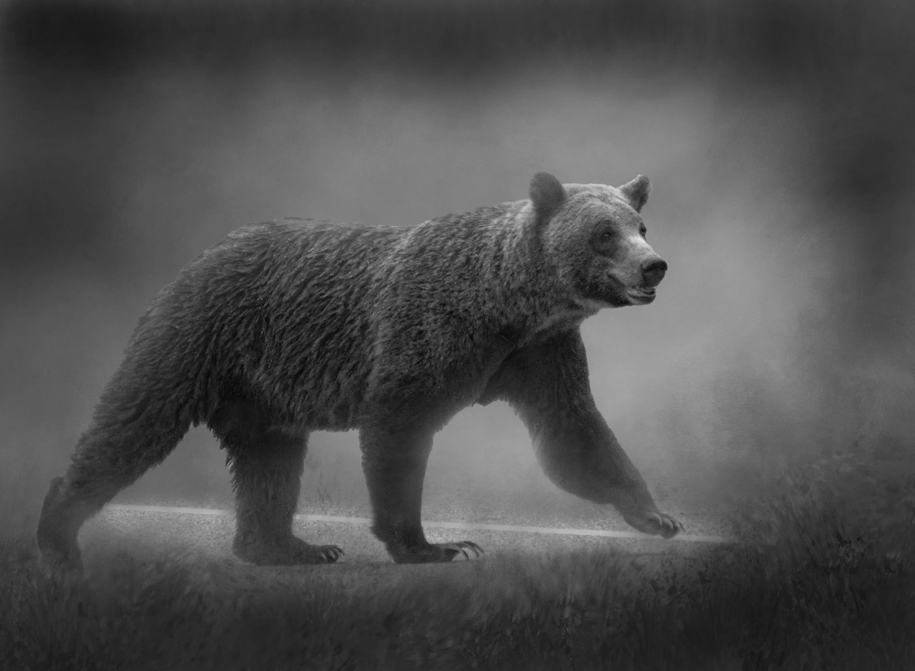 On The Hunt